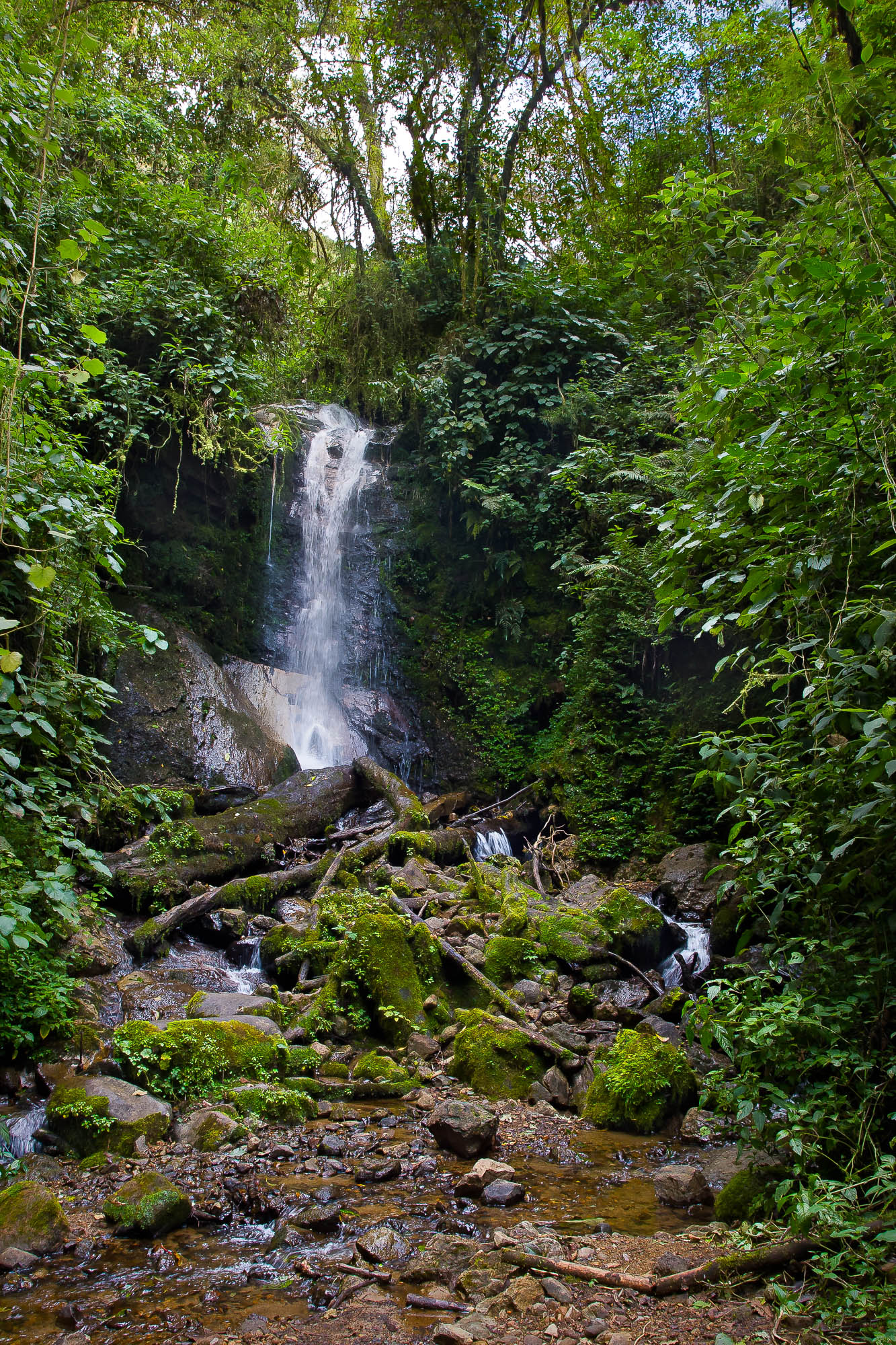 Small Waterfall - Cerro de la muerte