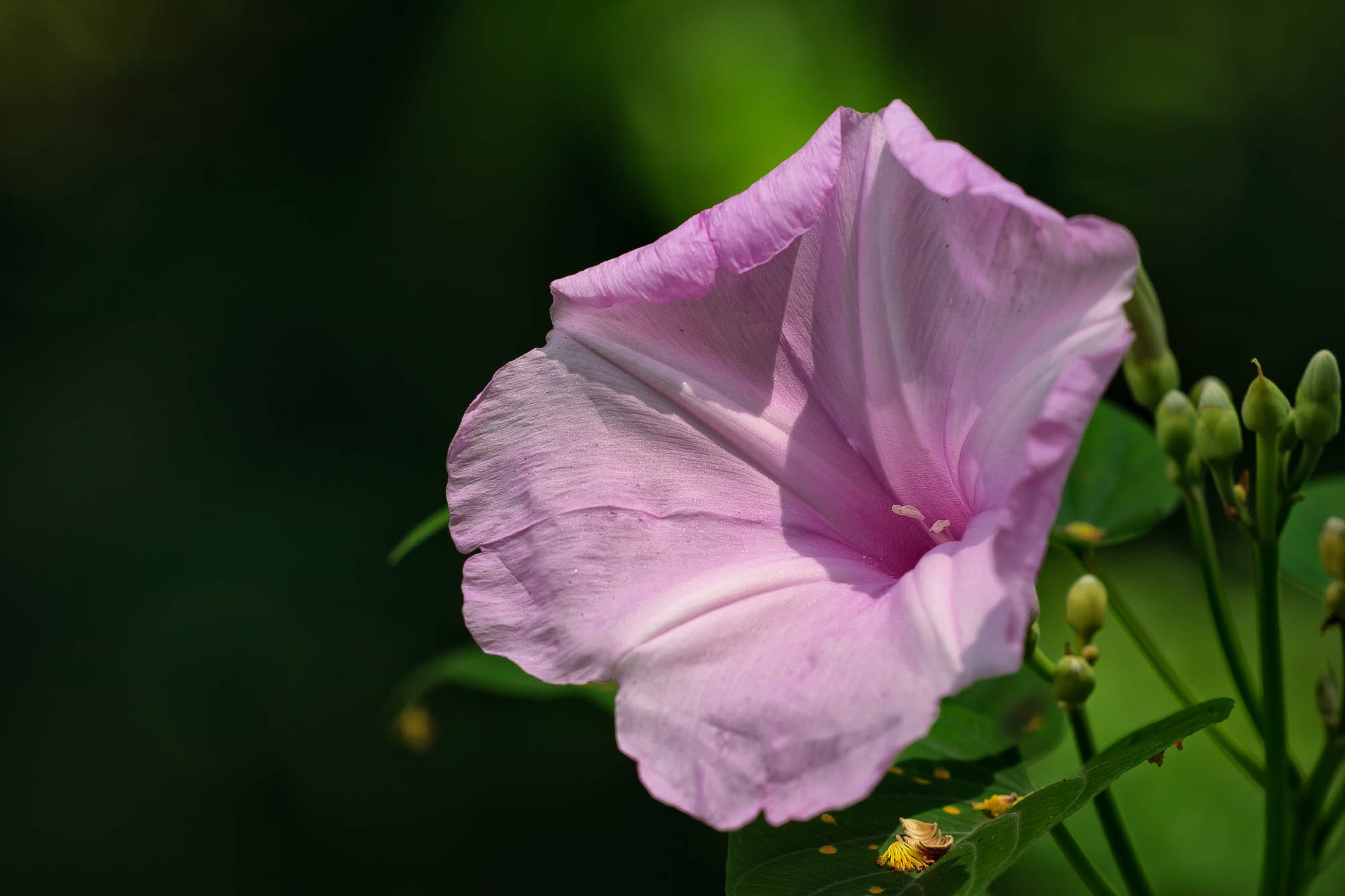 MC073057 SharpScreen