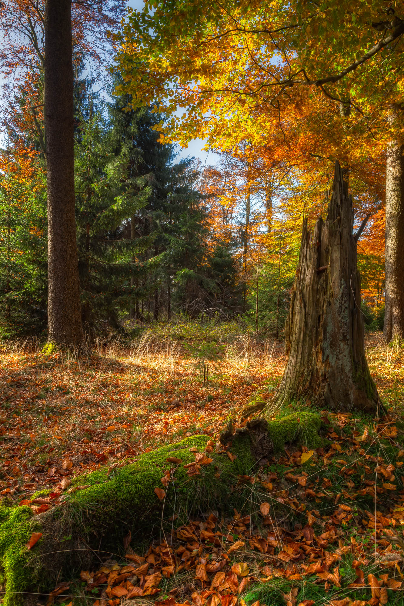 Deutschland / Germany