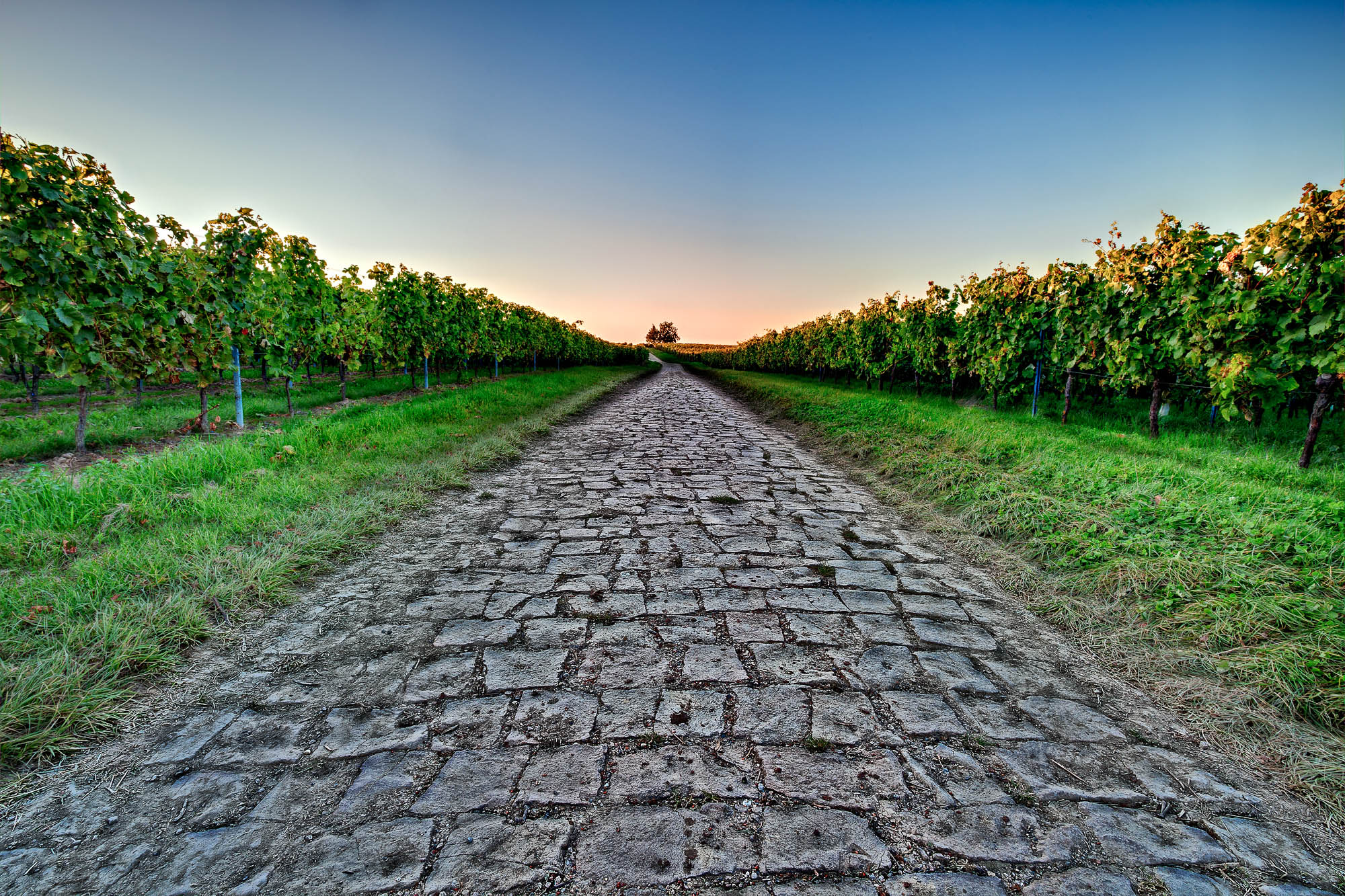 Deutschland / Germany