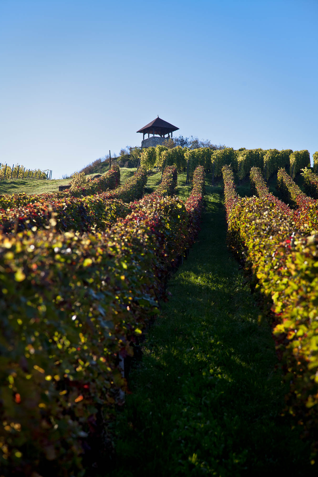 Deutschland / Germany