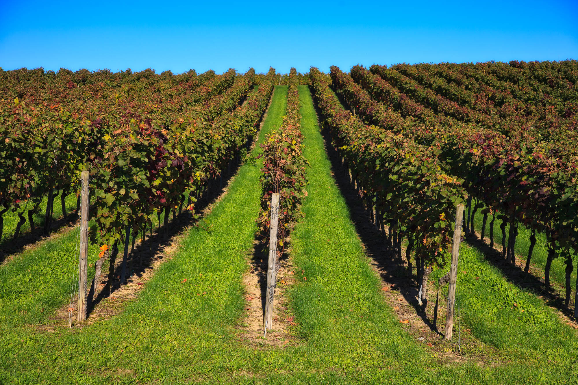 Deutschland / Germany