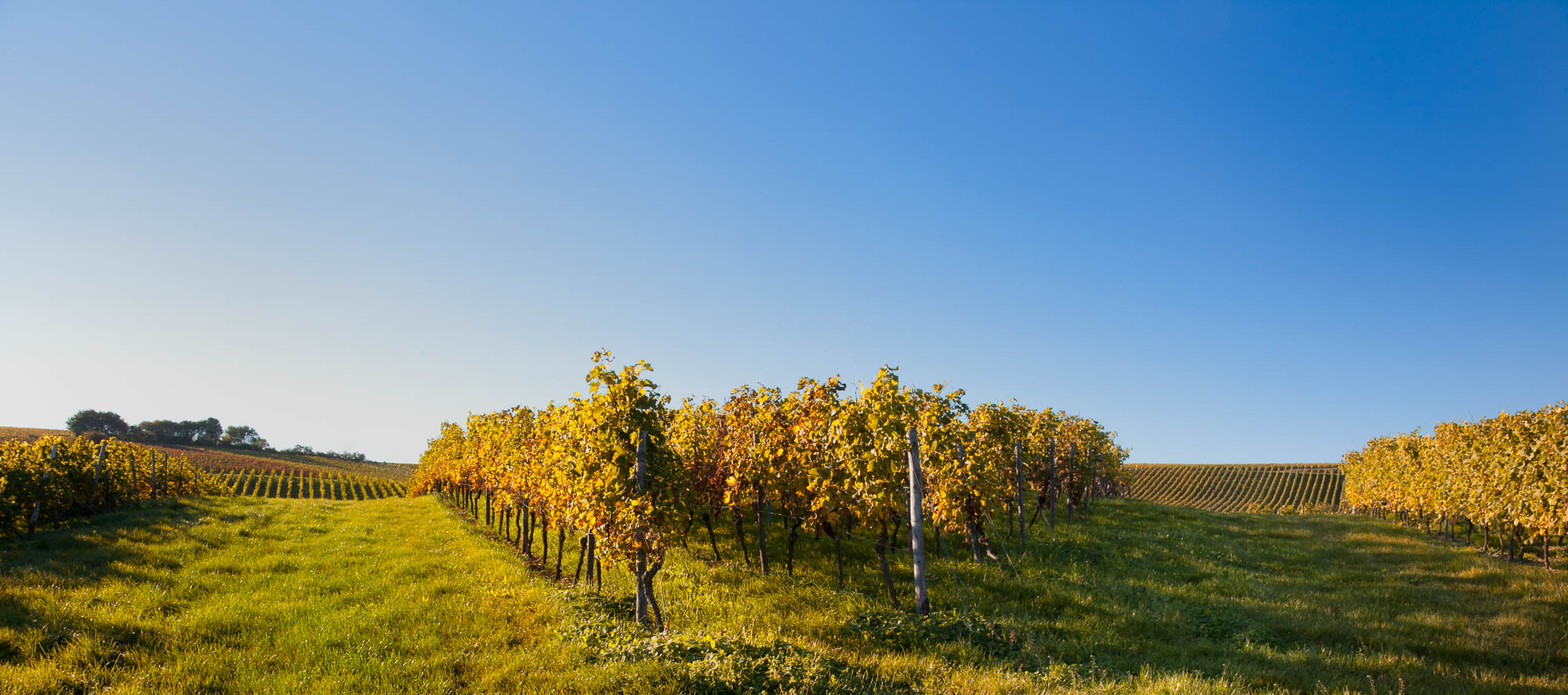 Deutschland / Germany