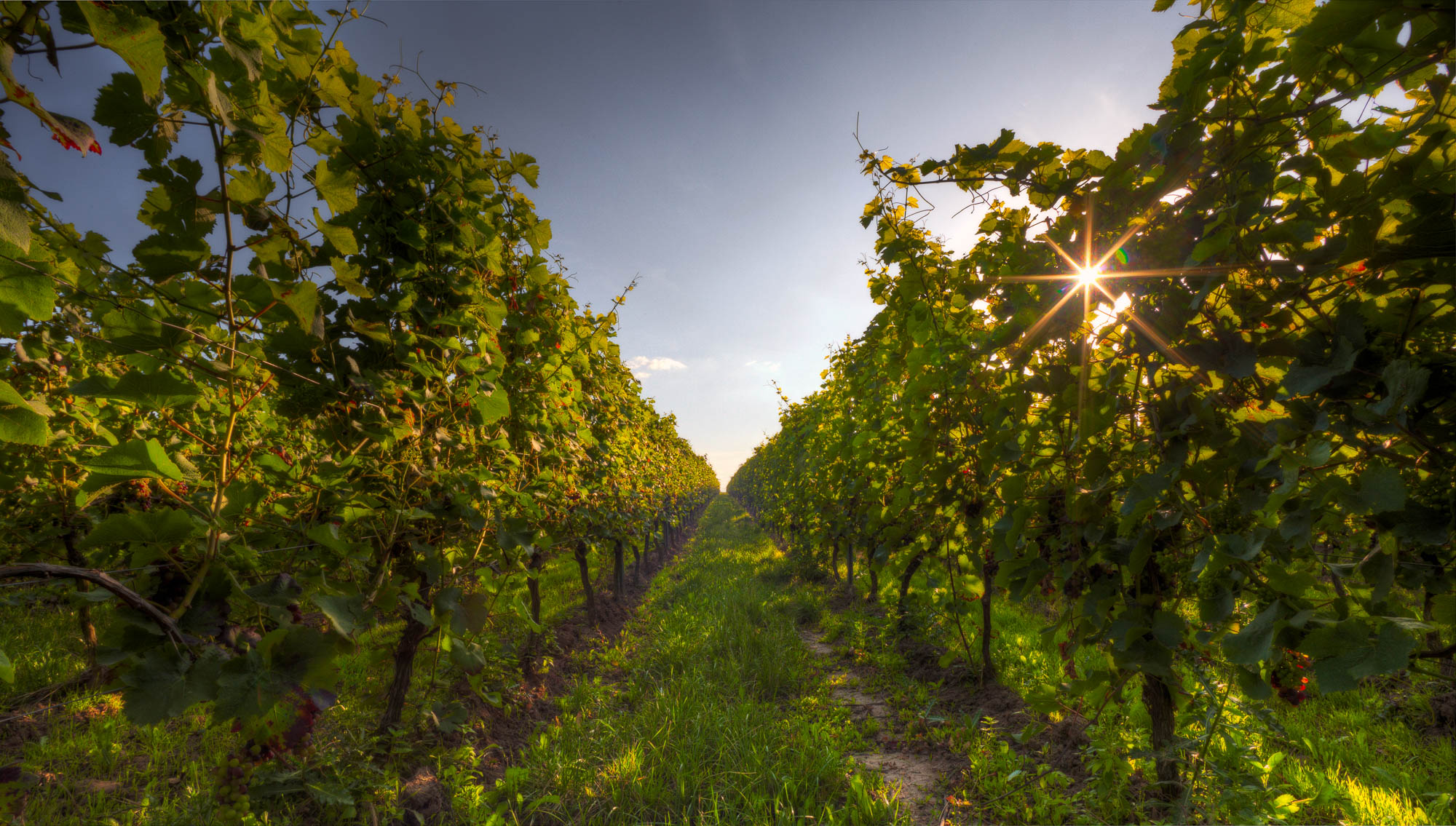  MG 5310 HDR SharpScreen