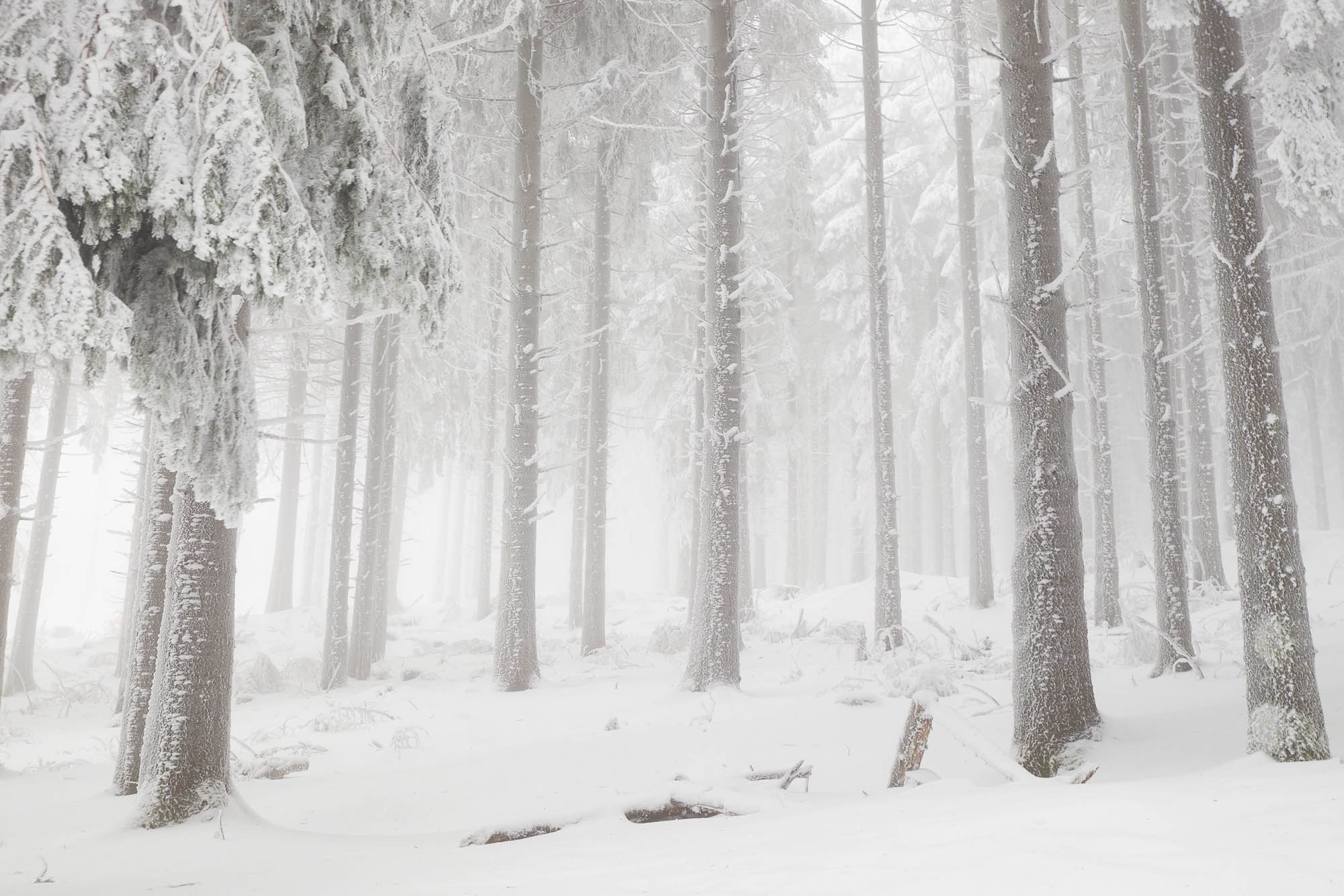 Feldberg Taunus im Winter