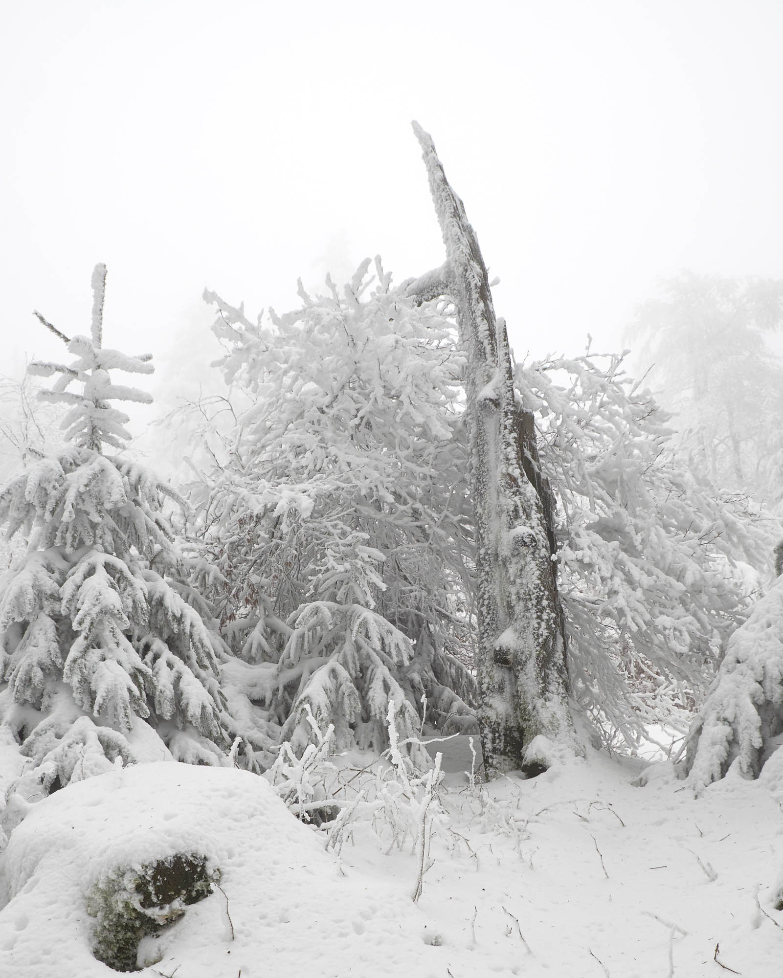 Feldberg Taunus im Winter