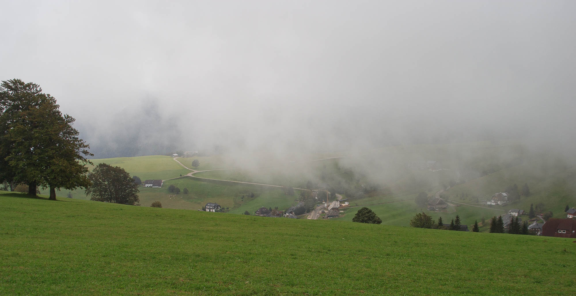 Schwarzwald Feldberg 1
