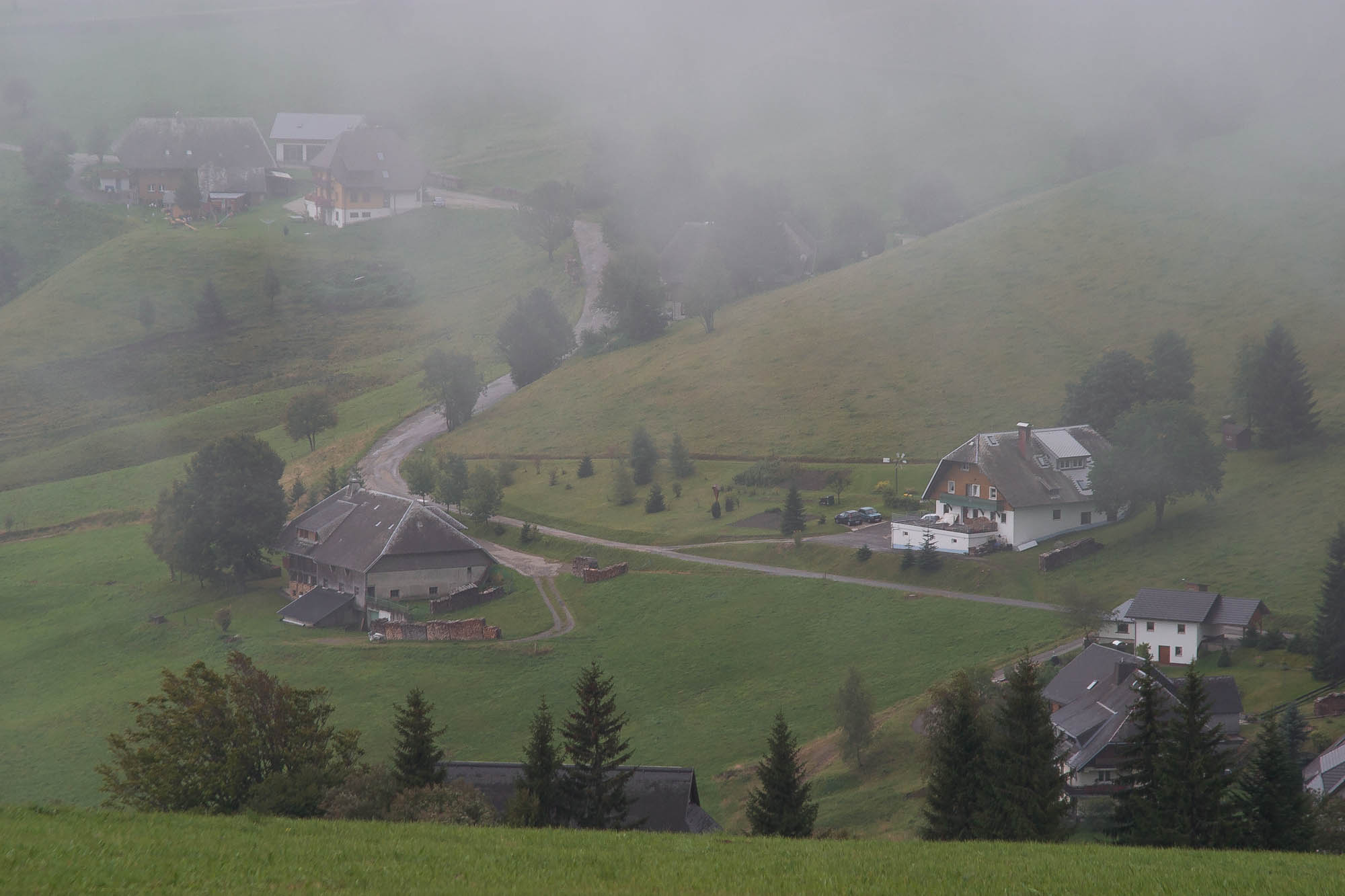 Deutschland - Schwarzwald / Germany - Black Forrest
