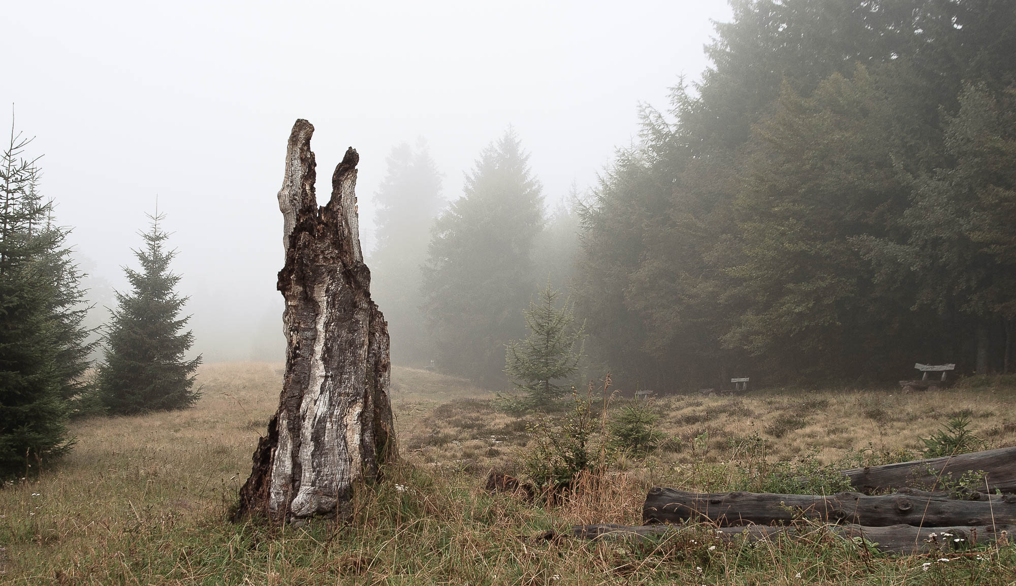 Schwarzwald Feldberg 3