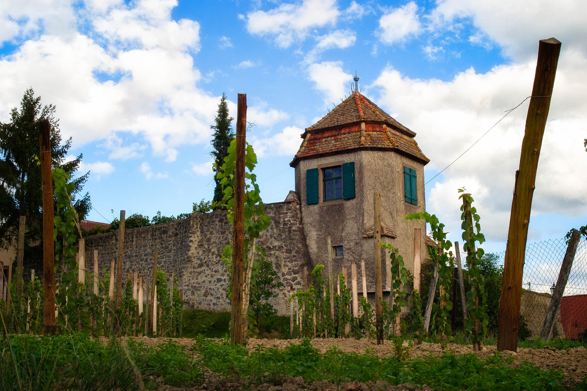 Deutschland - Schwarzwald / Germany - Black Forrest