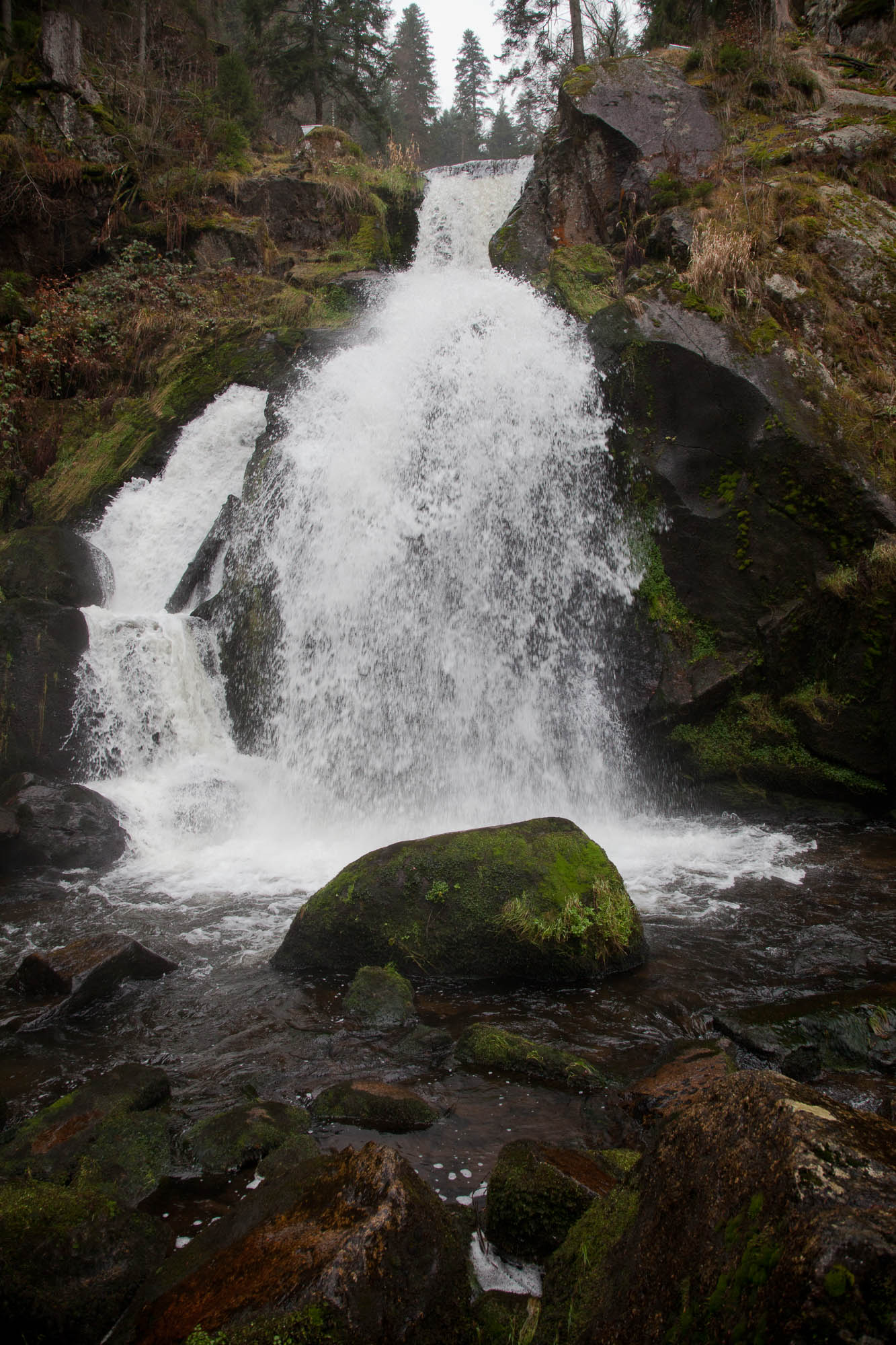 Deutschland - Schwarzwald / Germany - Black Forrest