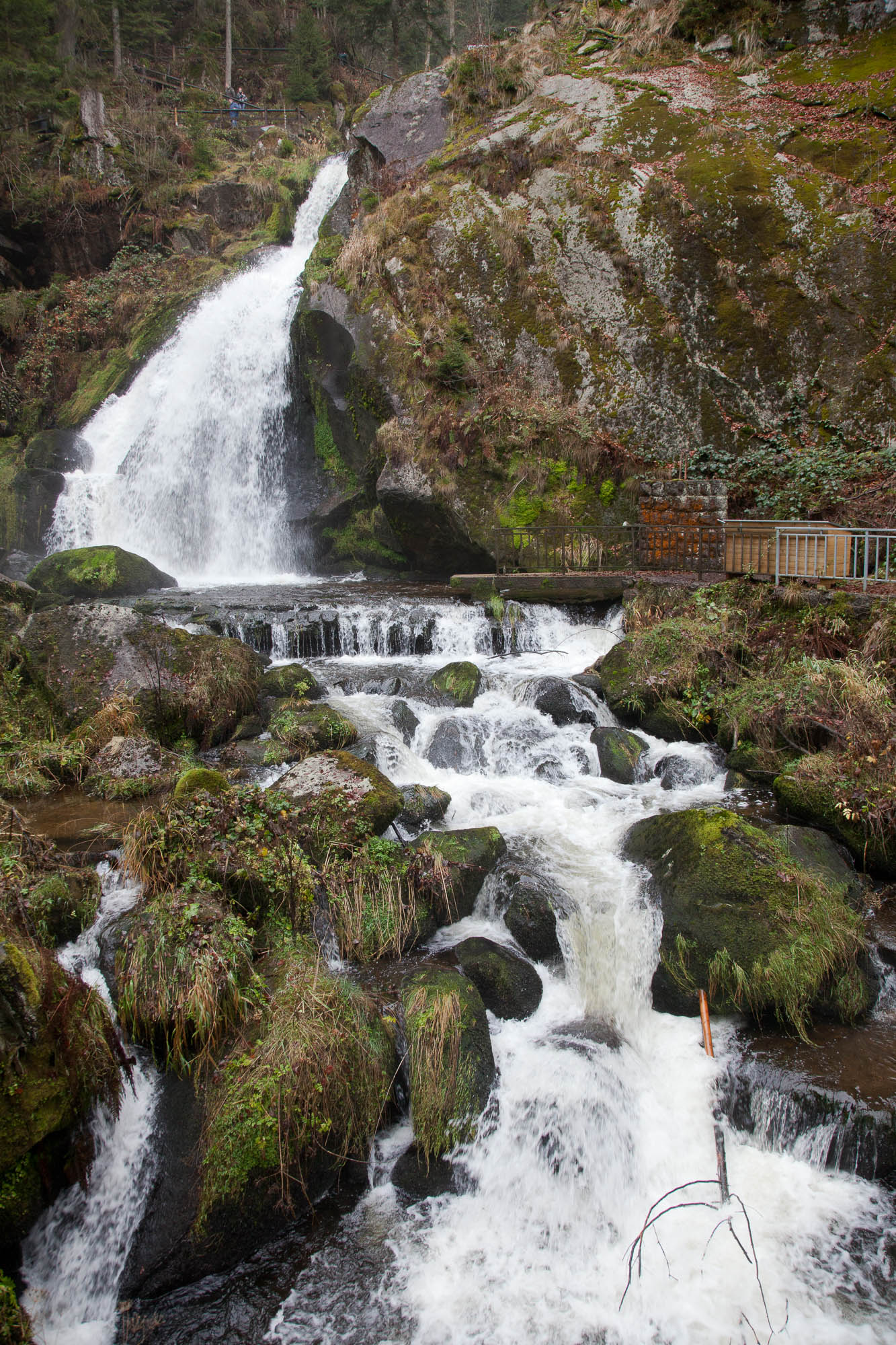Schwarzwald Triberg 7