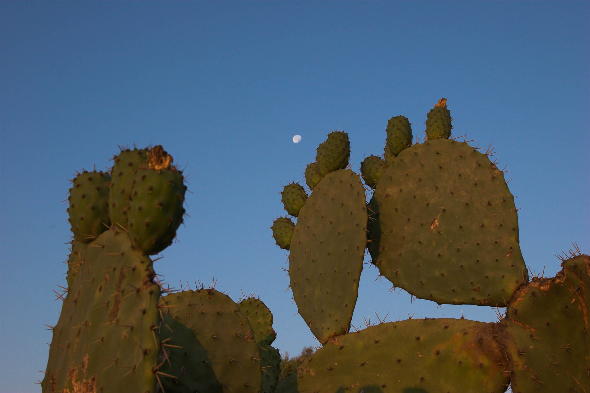 MC060473
