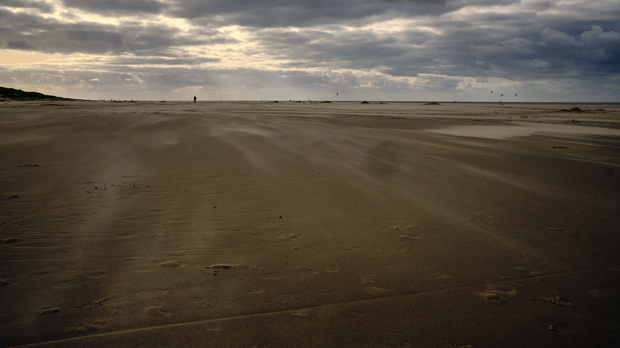 Niederlande - Texel / Netherlands - Texel