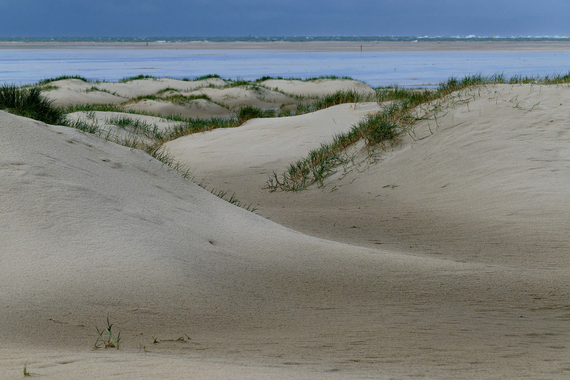 Niederlande - Texel / Netherlands - Texel