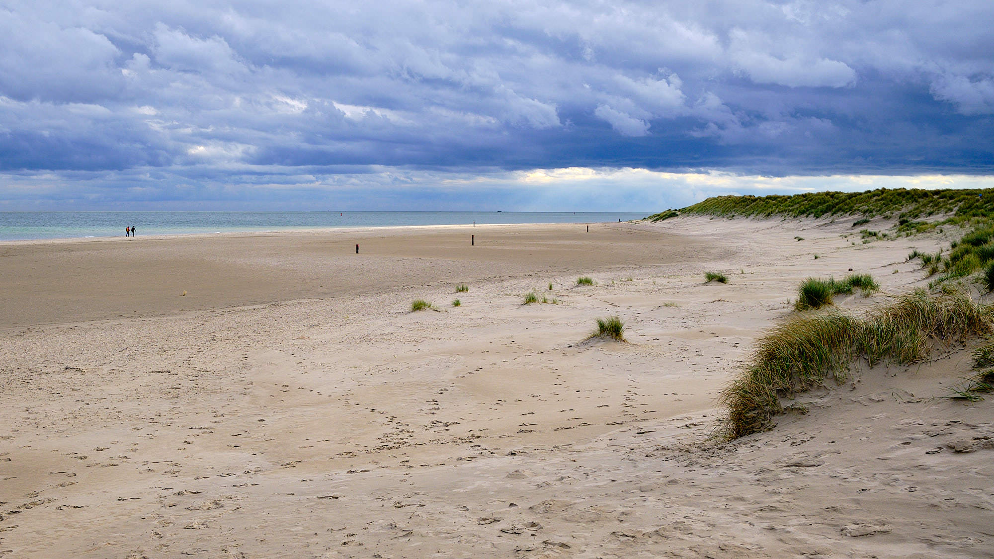 Texel H1A0607