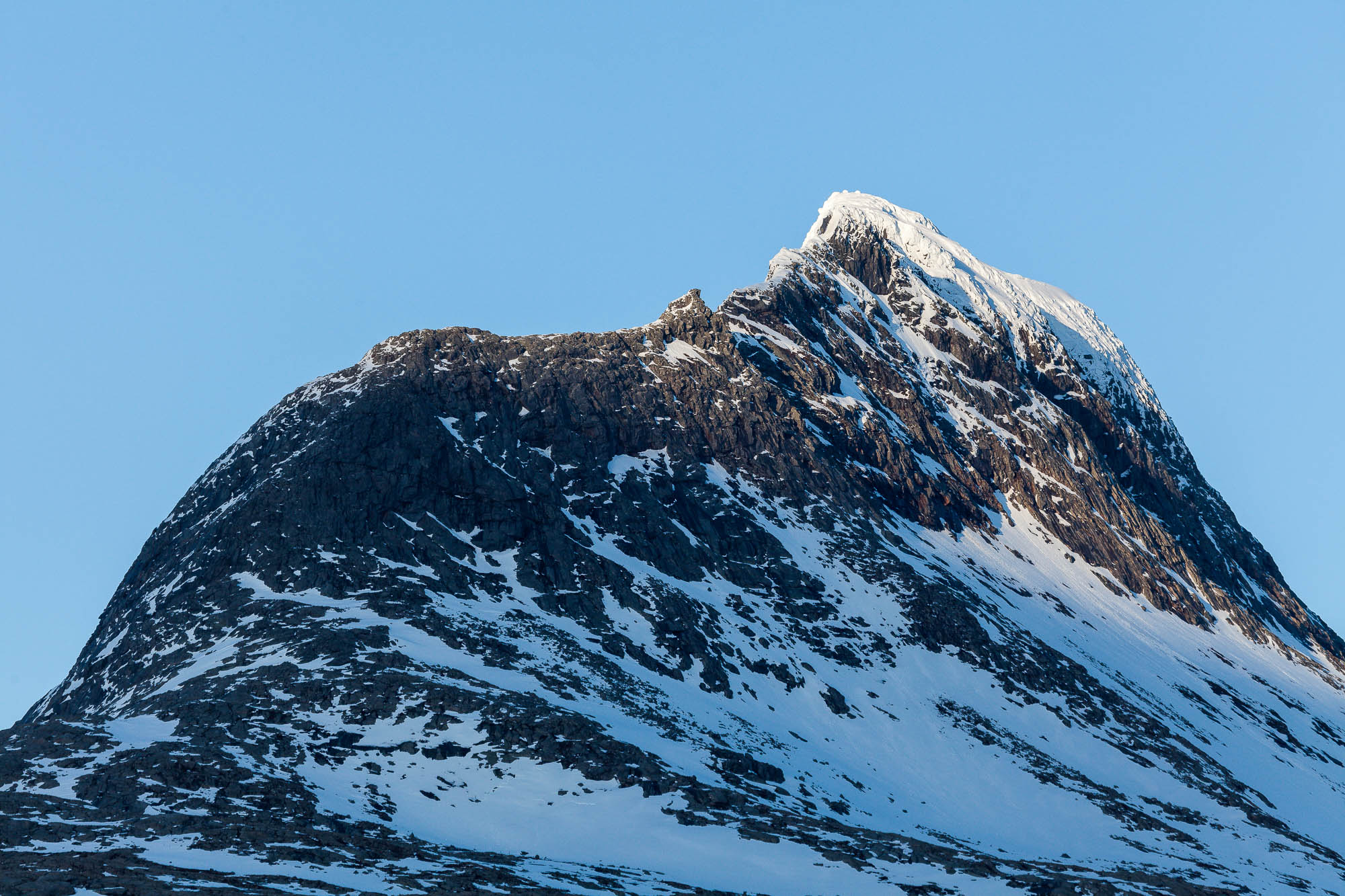 Heilhornet, Bindal