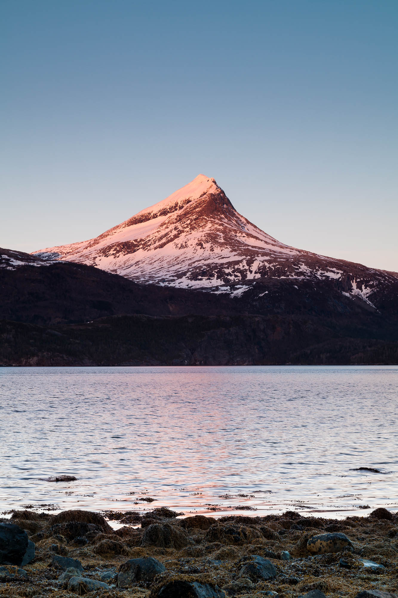 Heilhornet, Bindal