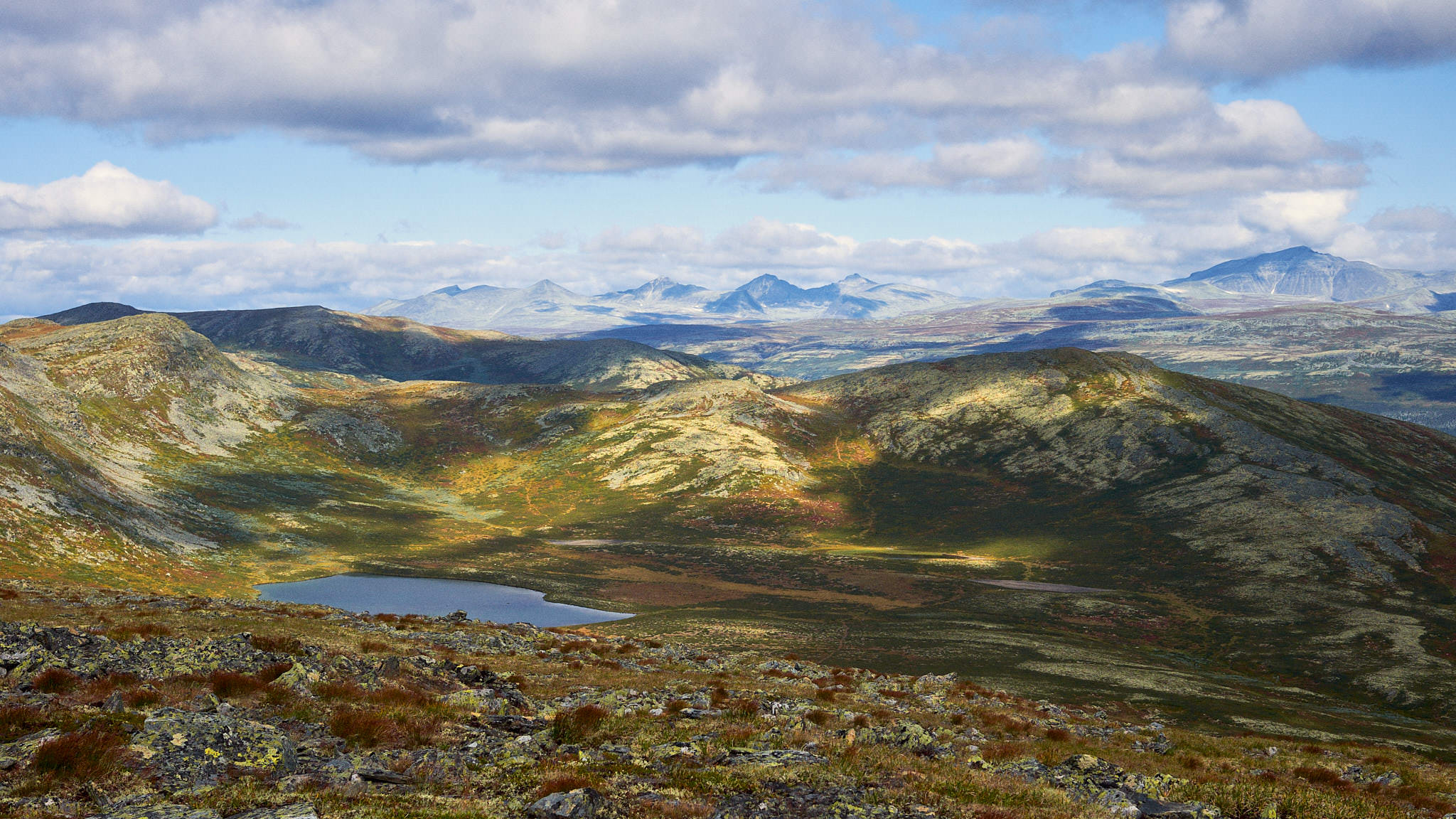 Skarven - Norwegen - Norway