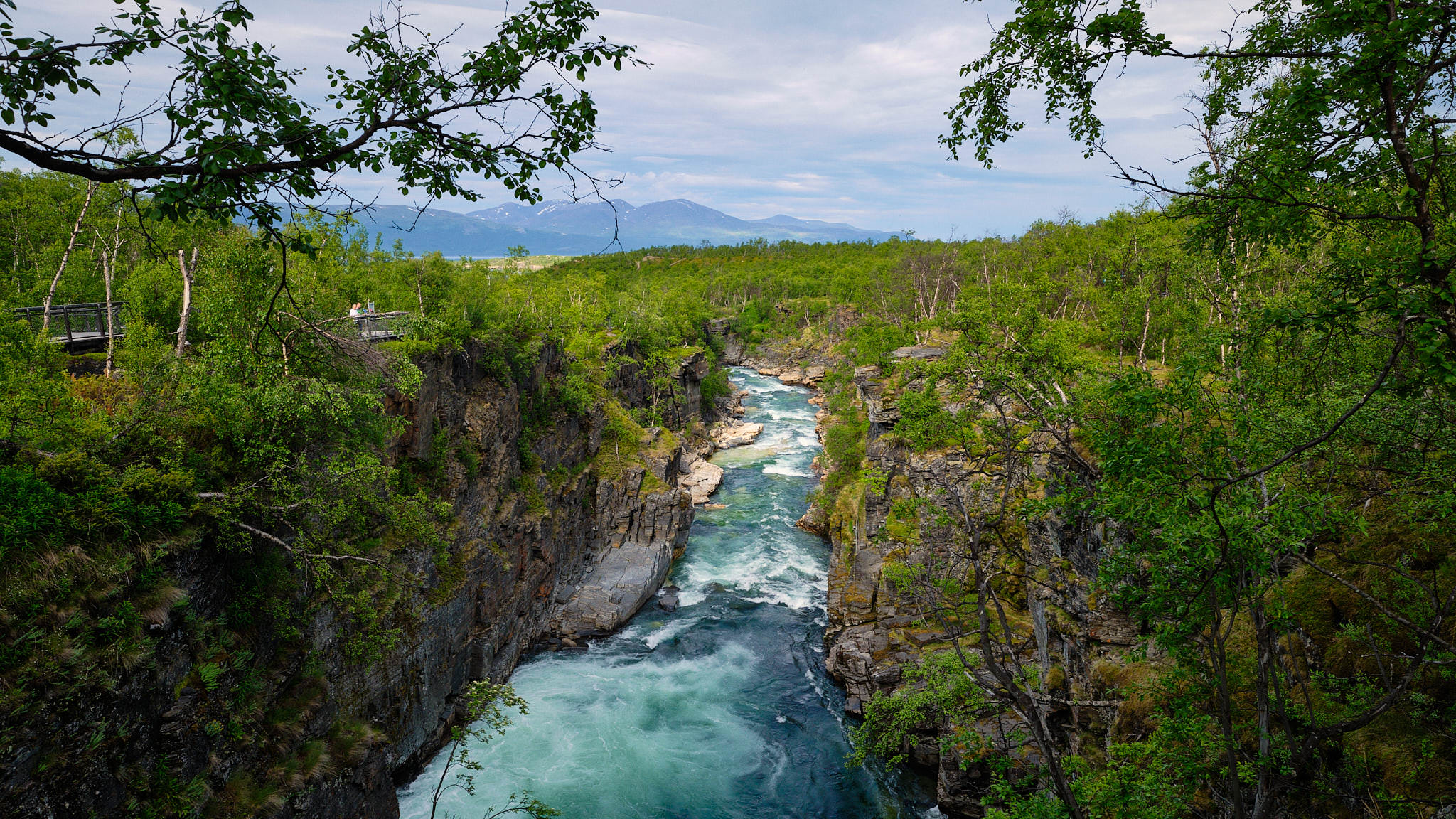 Abisko Nationalpark - Schweden - Sweden