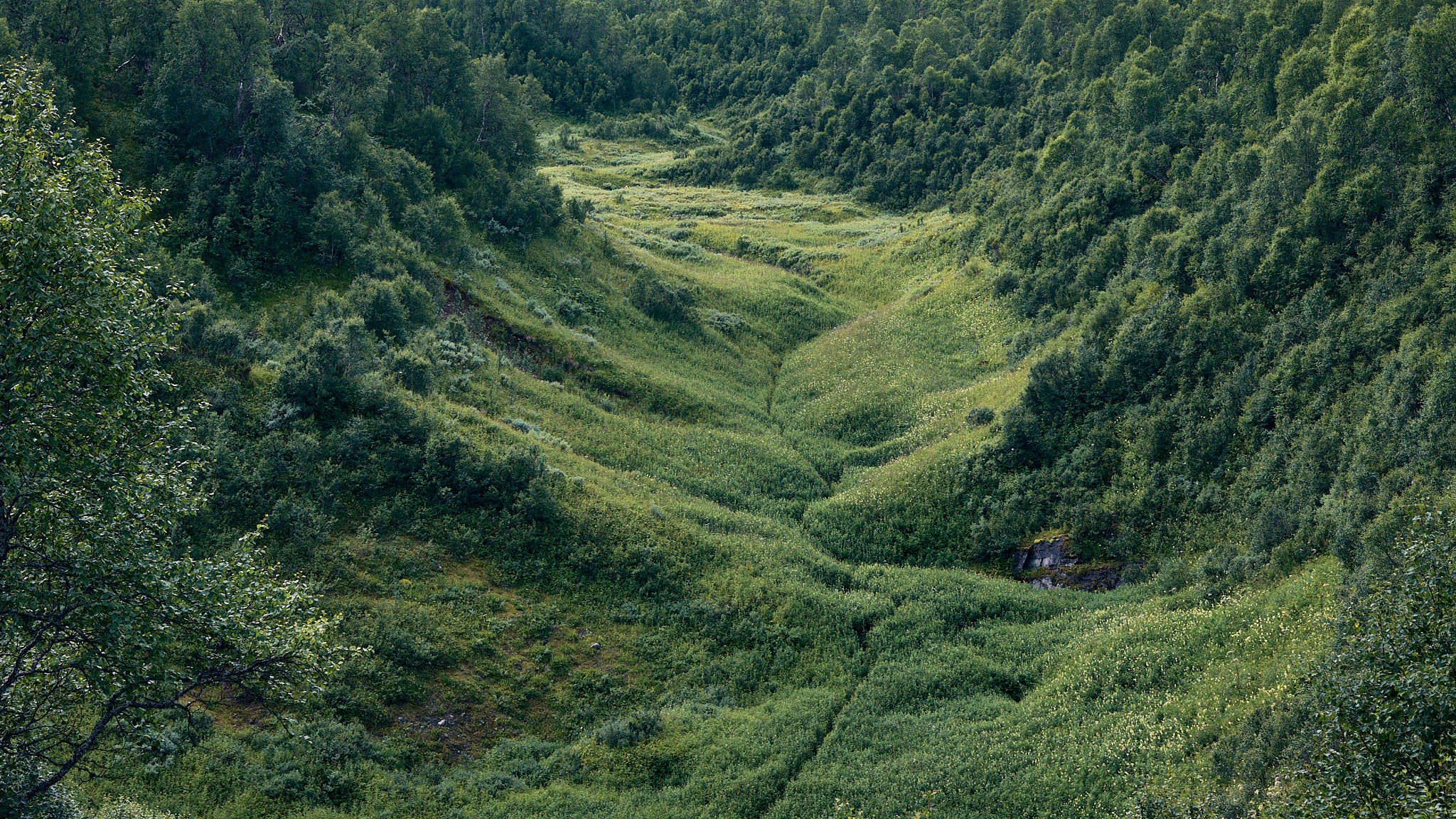 Der Weg zur Bjurälvsgrottan auch Kolosseum genannt - Schweden - Sweden