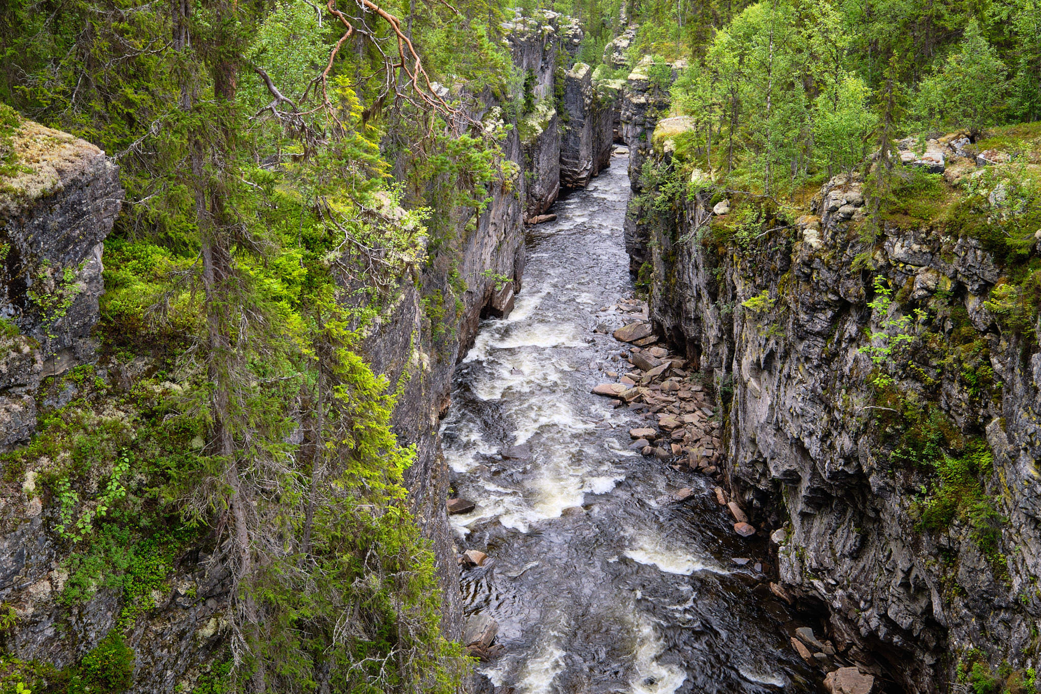 Schlucht des Hällingsåfallet am Vildmarksvägen - Schweden - Sweden