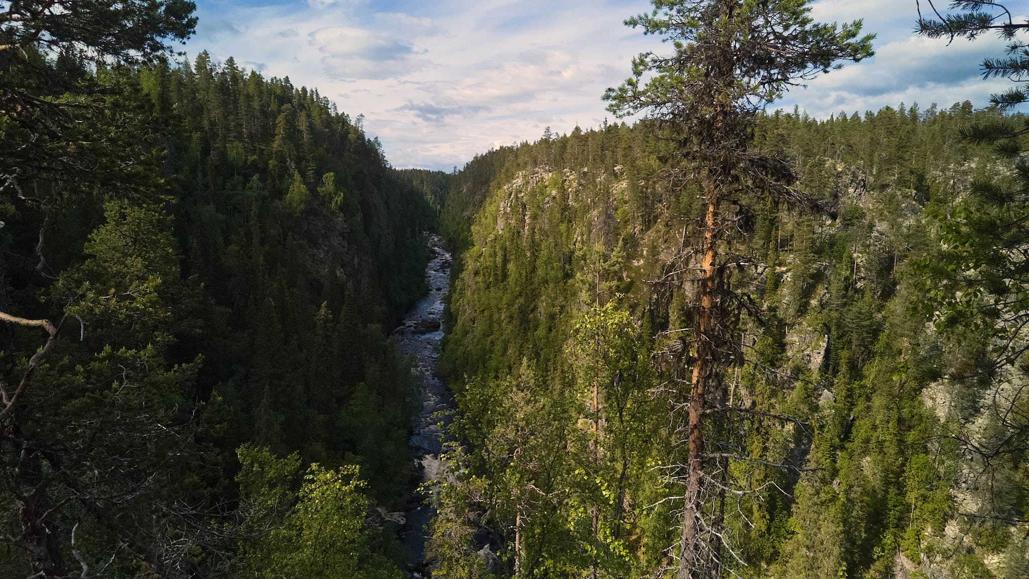 Muddus Nationalpark - Schweden - Sweden