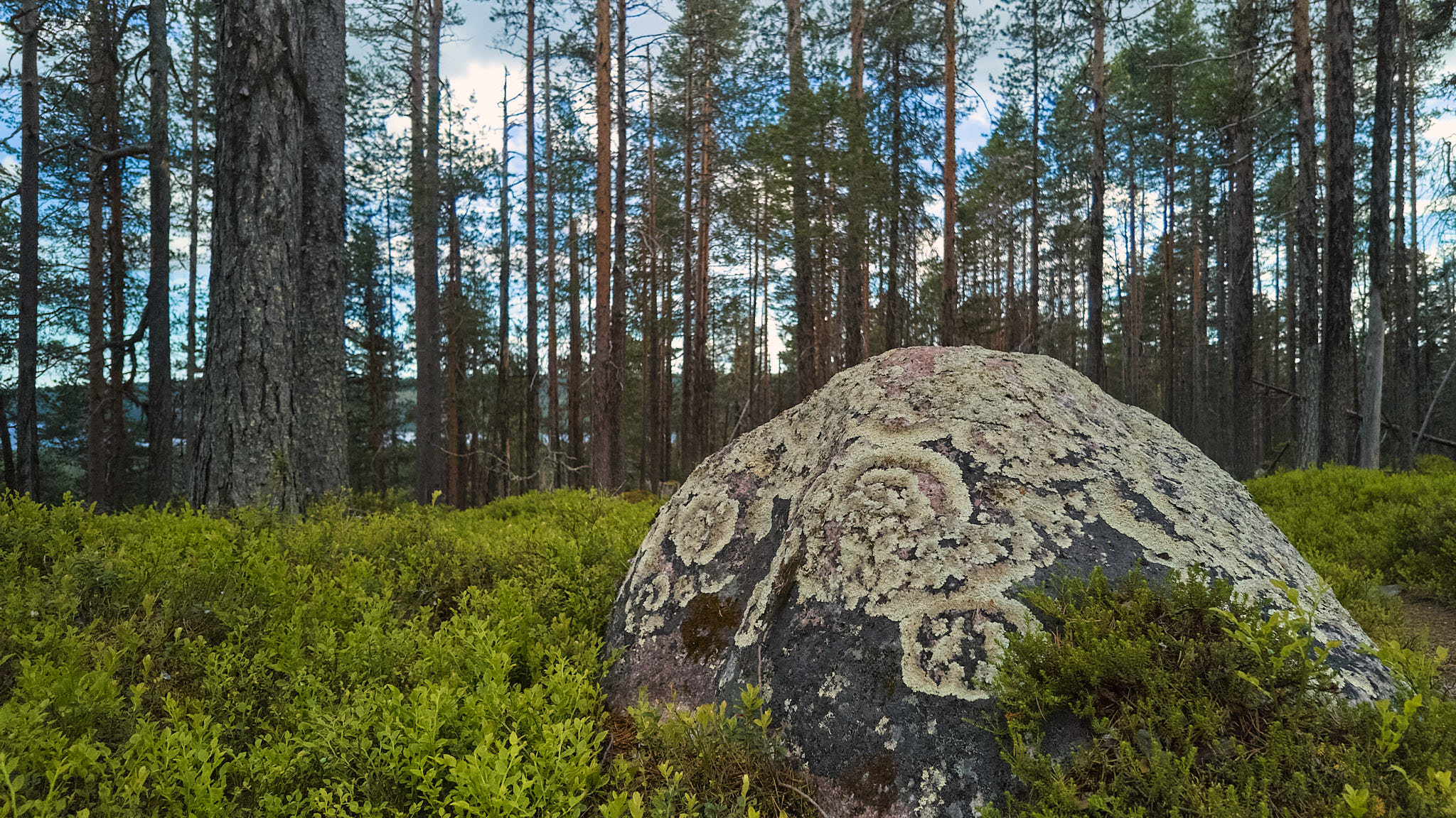 Muddus Nationalpark - Schweden - Sweden