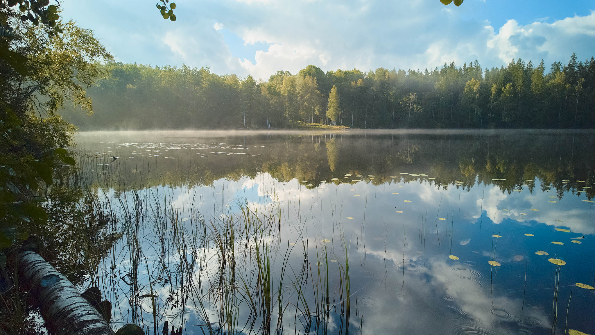 Schweden / Sweden