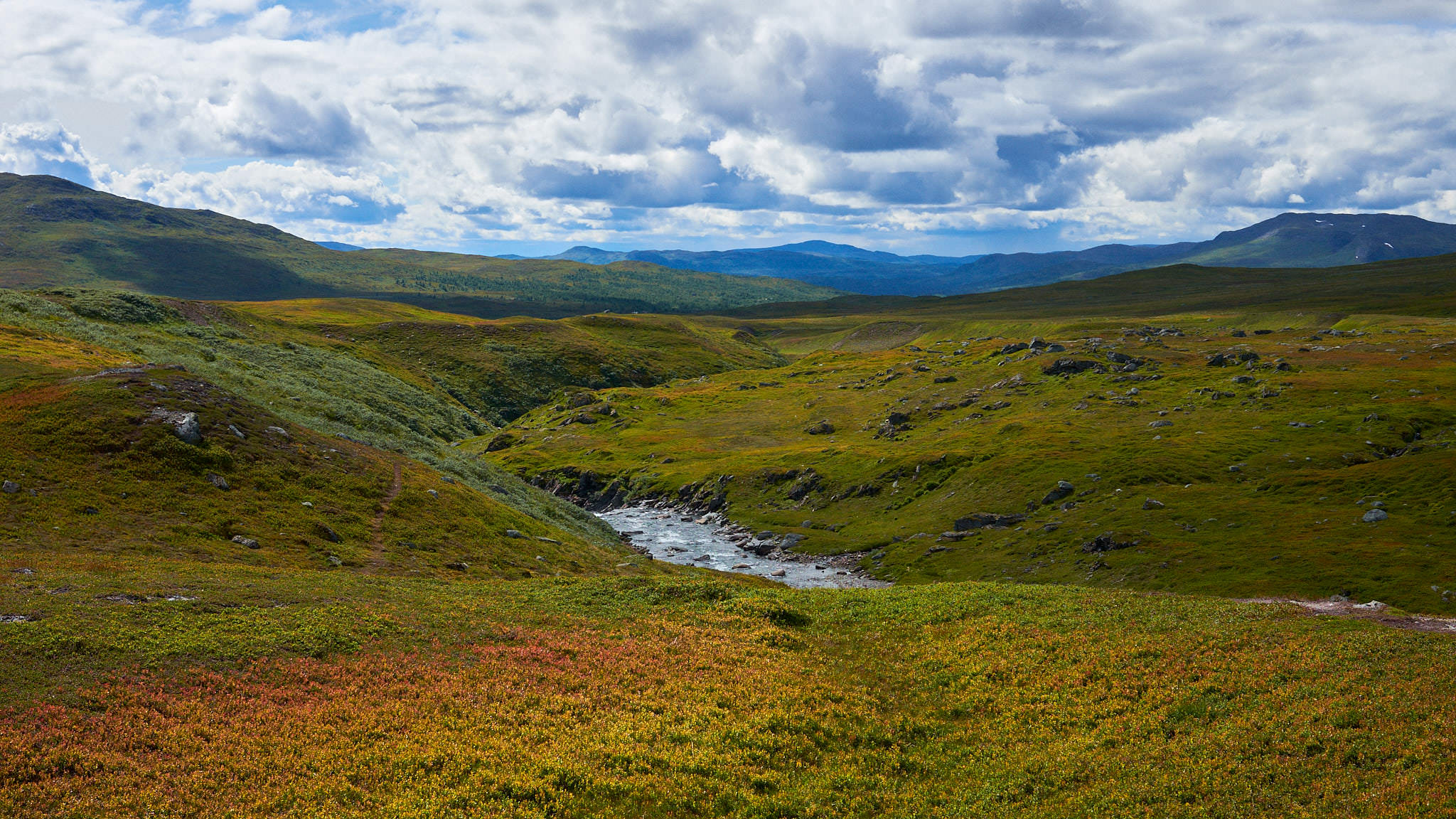 Auf dem Stekkenjokk Plateau - Schweden Sweden