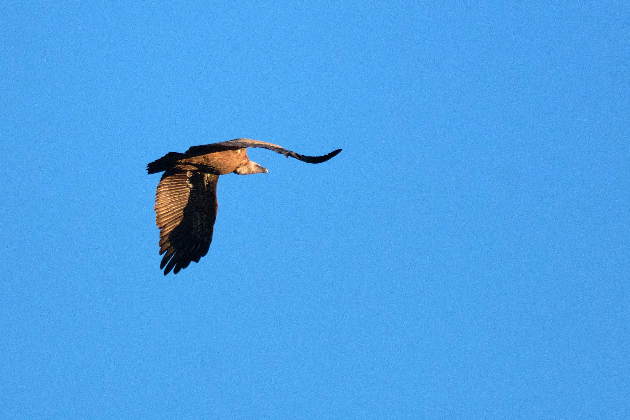 Extremadura