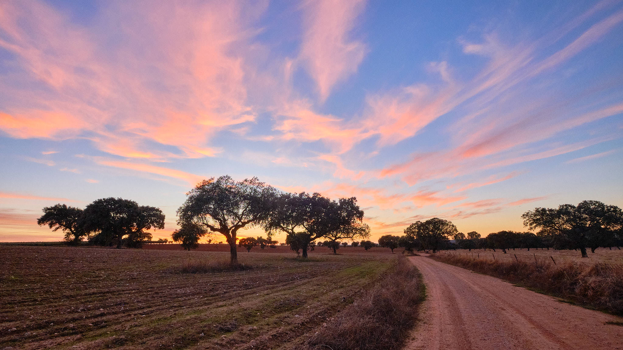 Extremadura 3099 XH14652