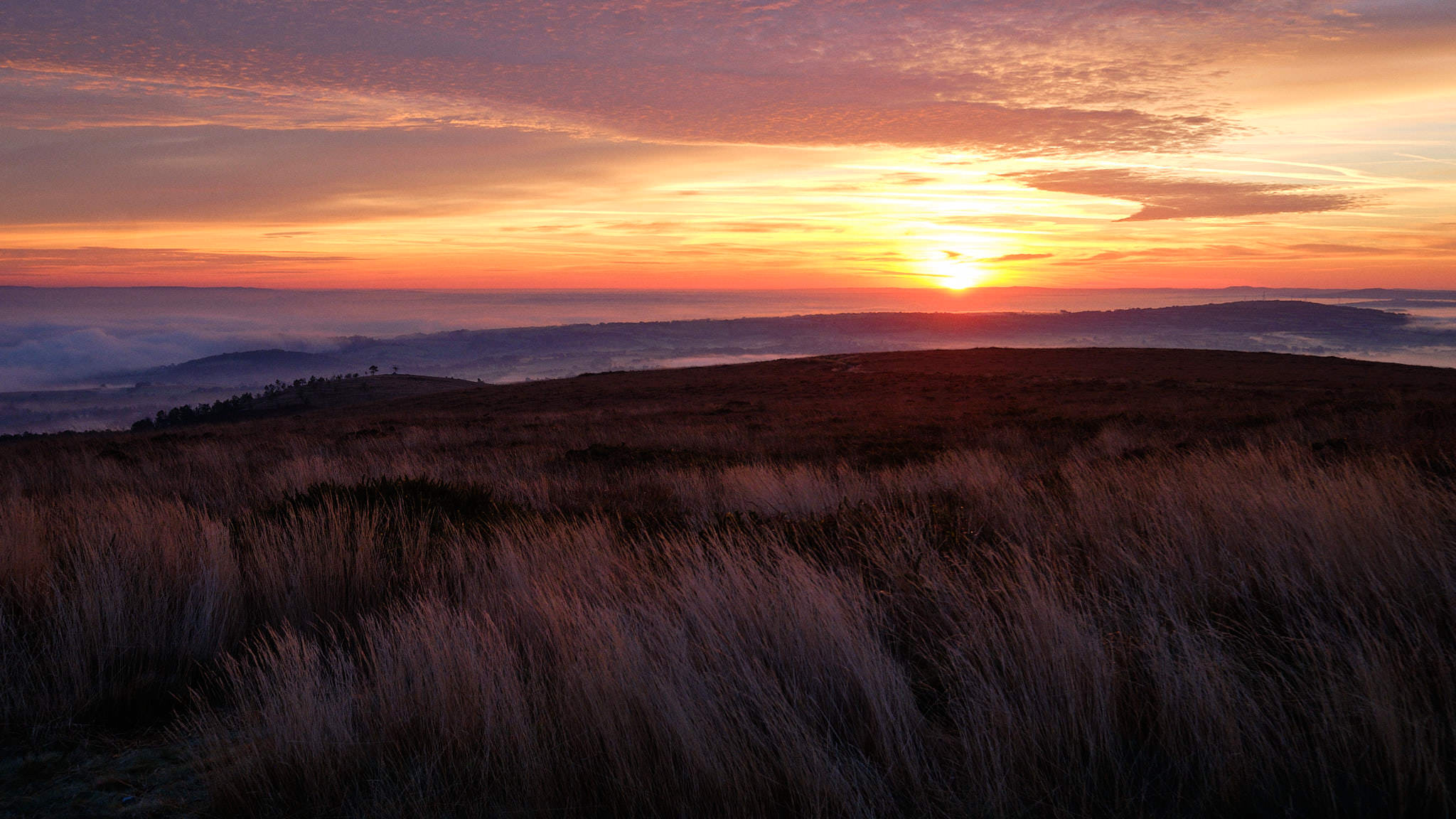 Bretagne 0393 XH11869