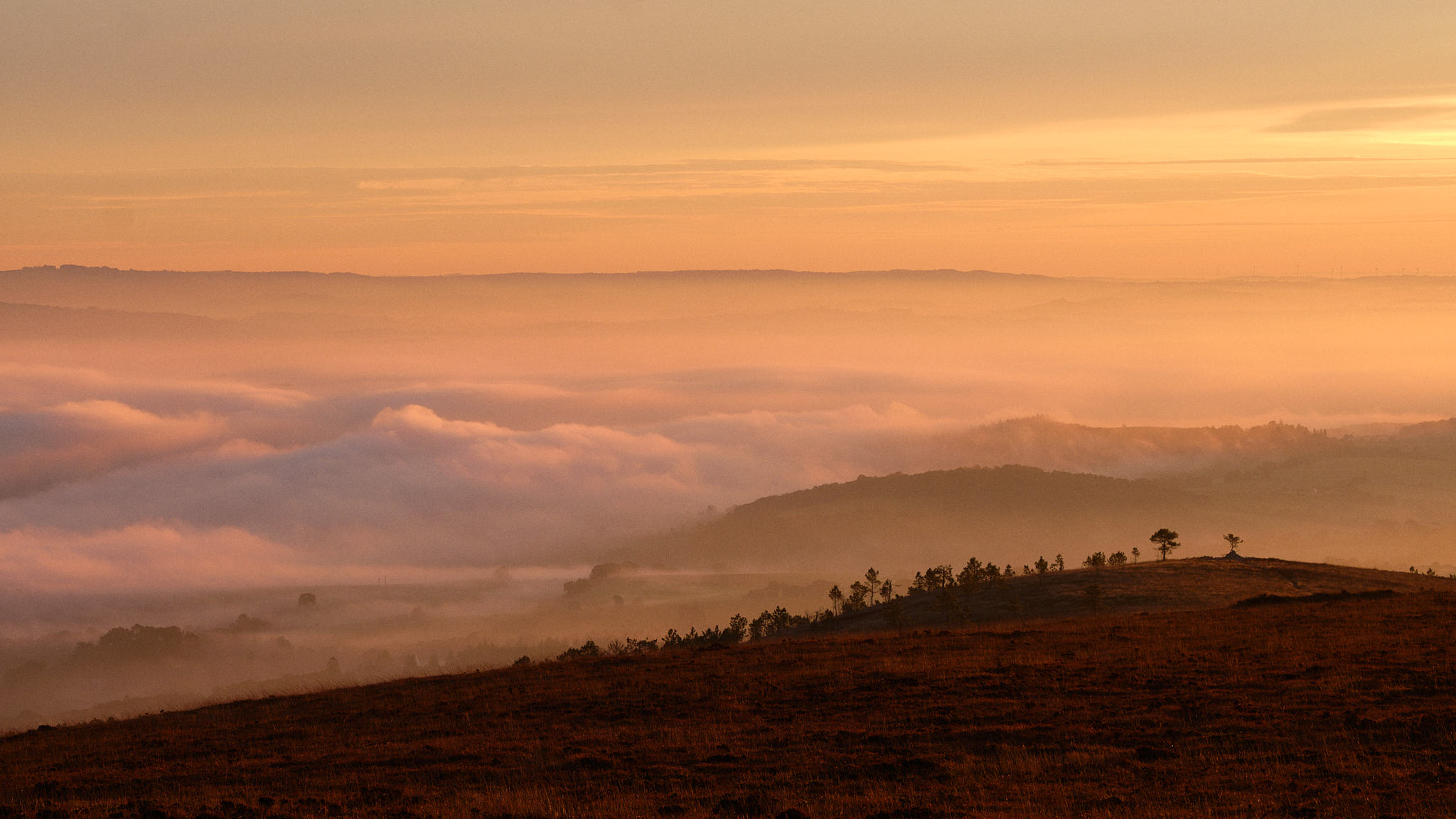Bretagne 0445 XH11921