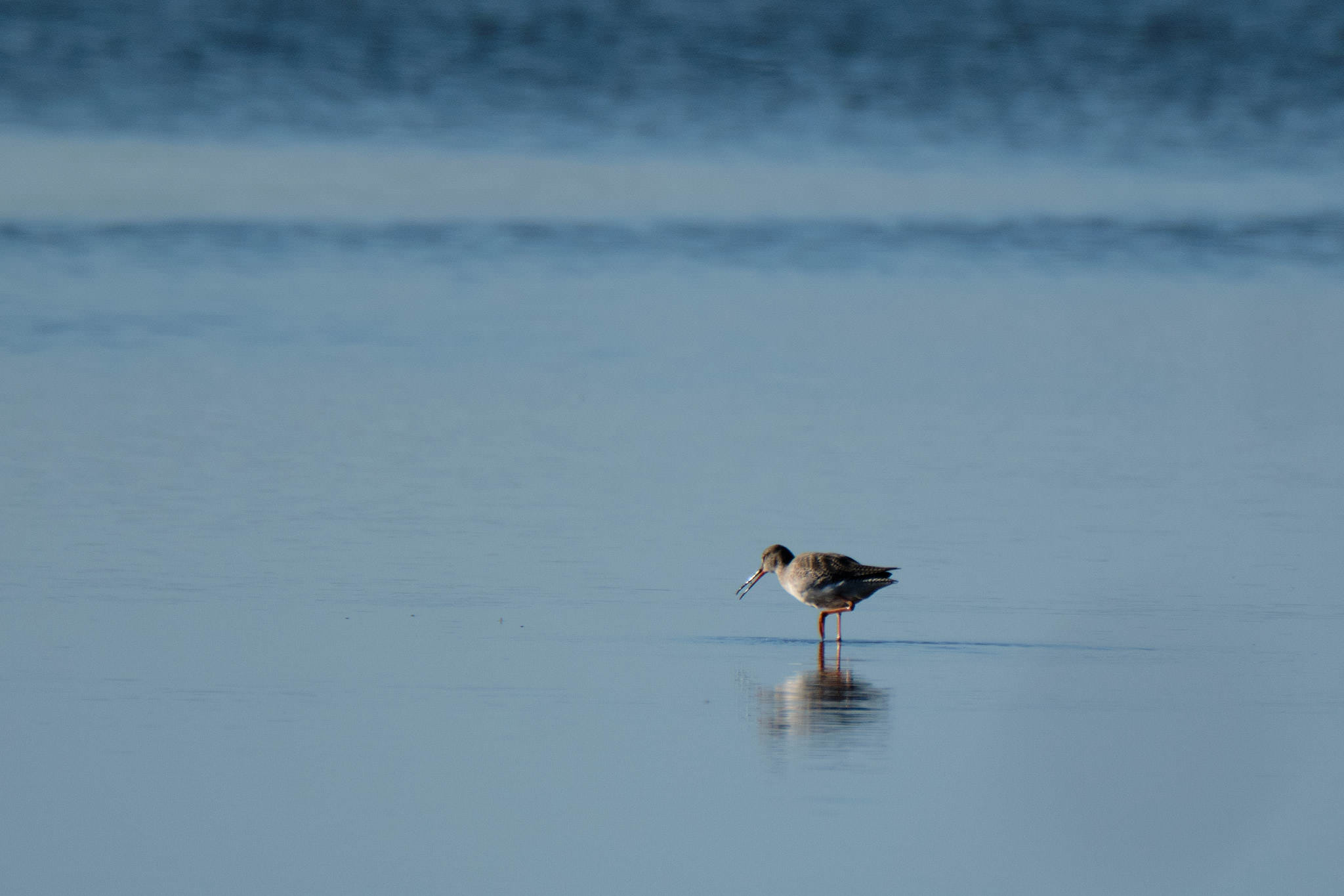 Charente Maritim 0600 XH12077