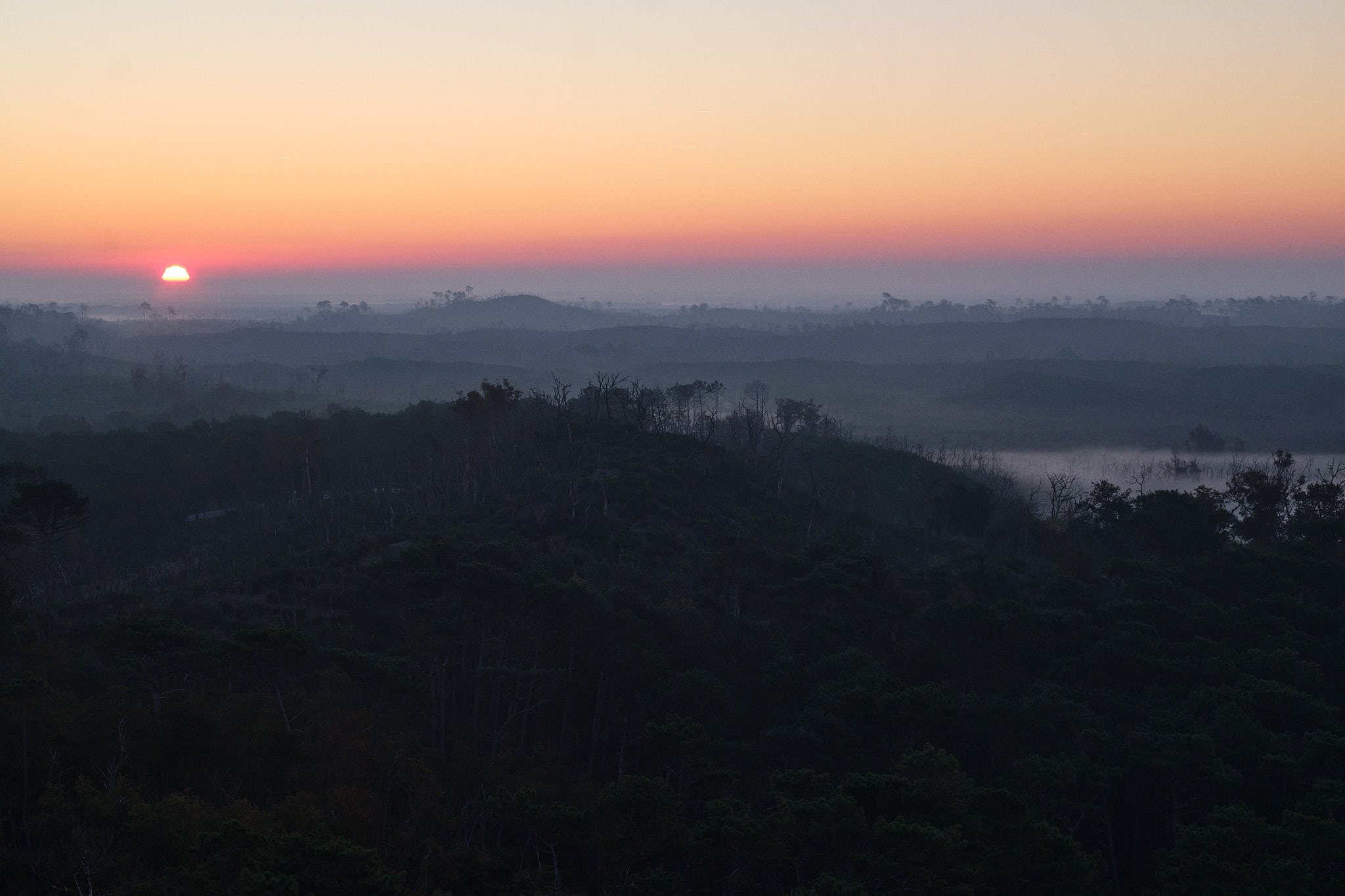 Dune Pilat 0959 XH12367