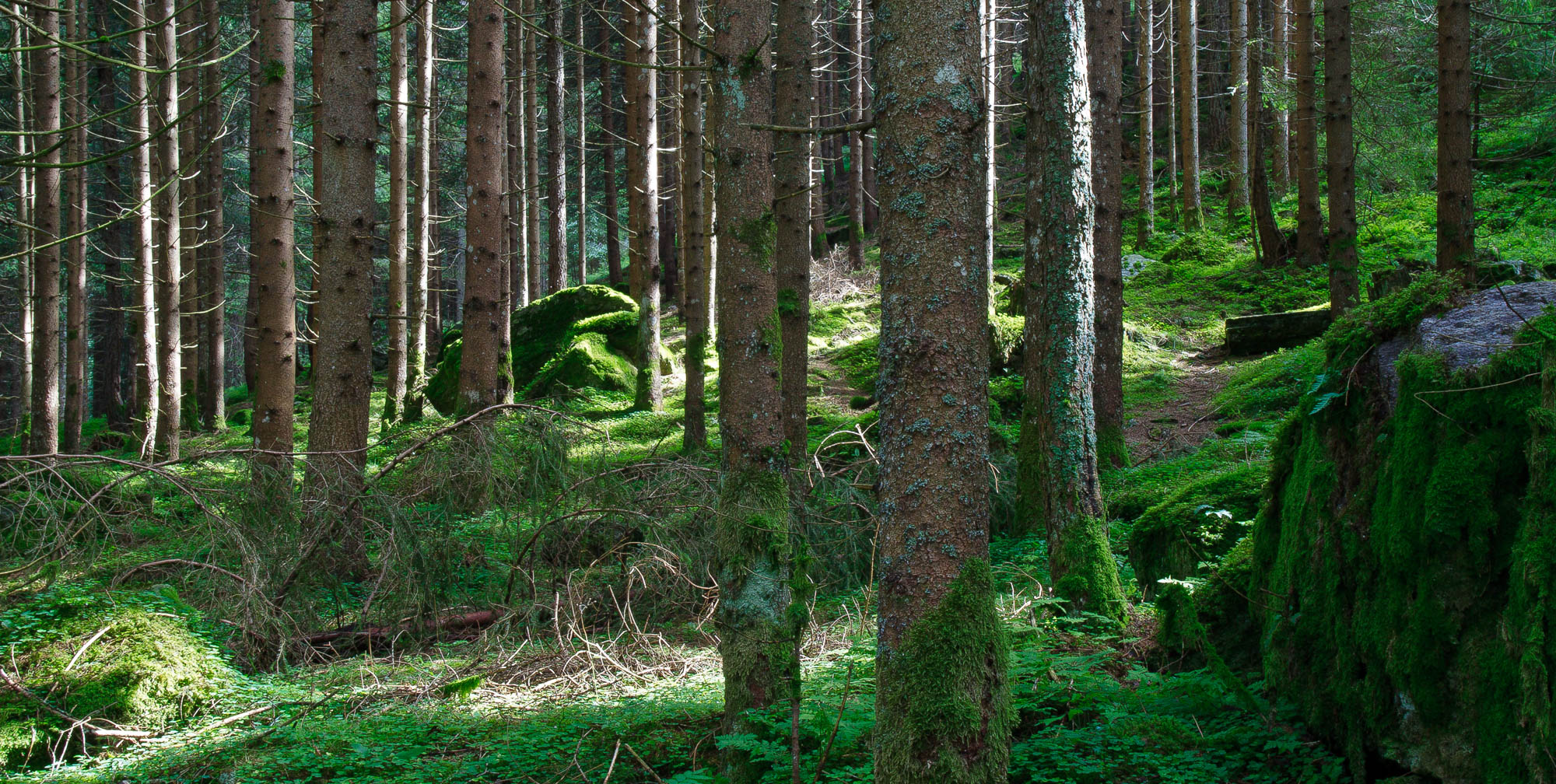 Italien - Südtirol / Italy - South Tyrol