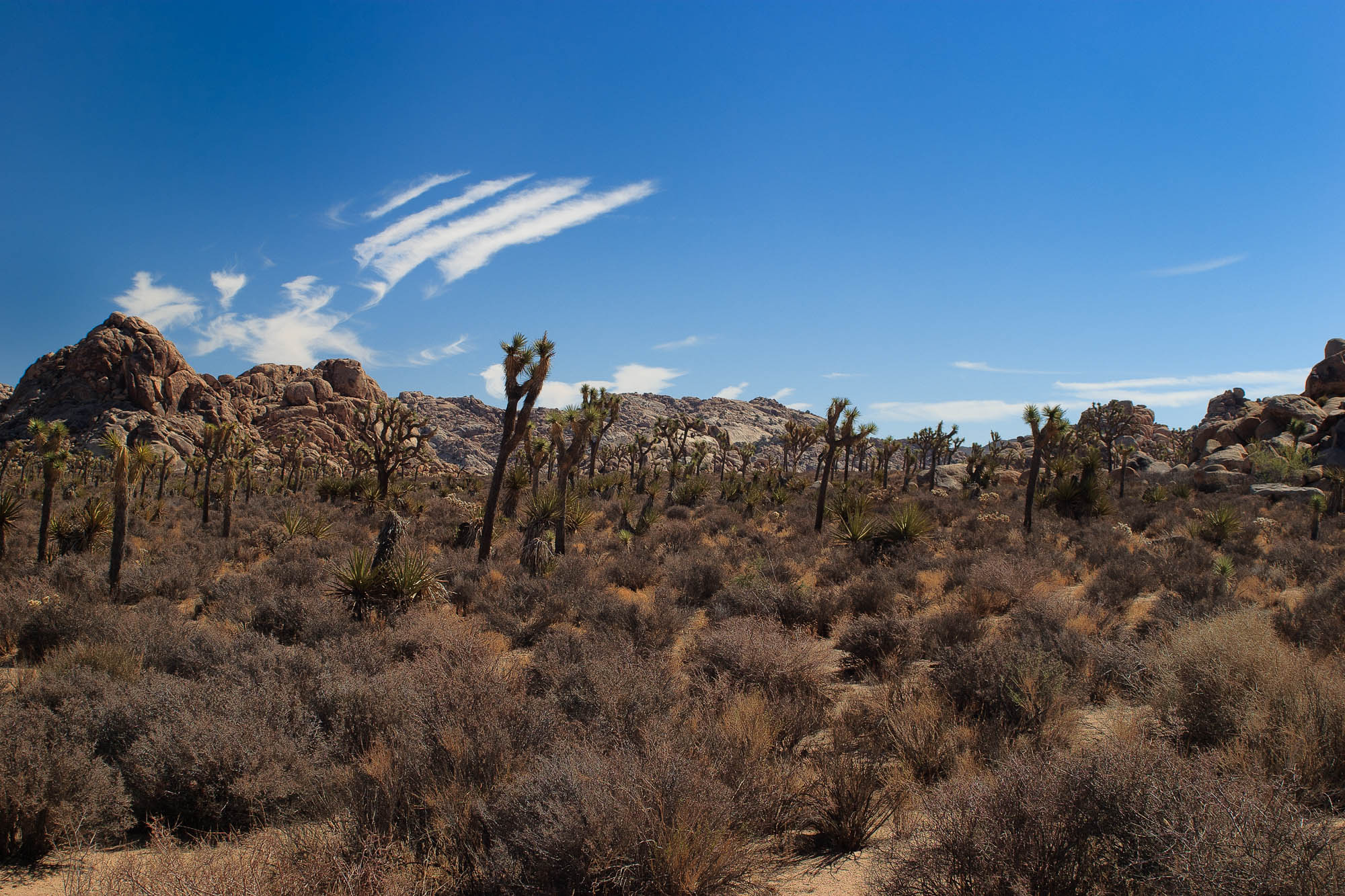 CRW 0465 SharpScreen