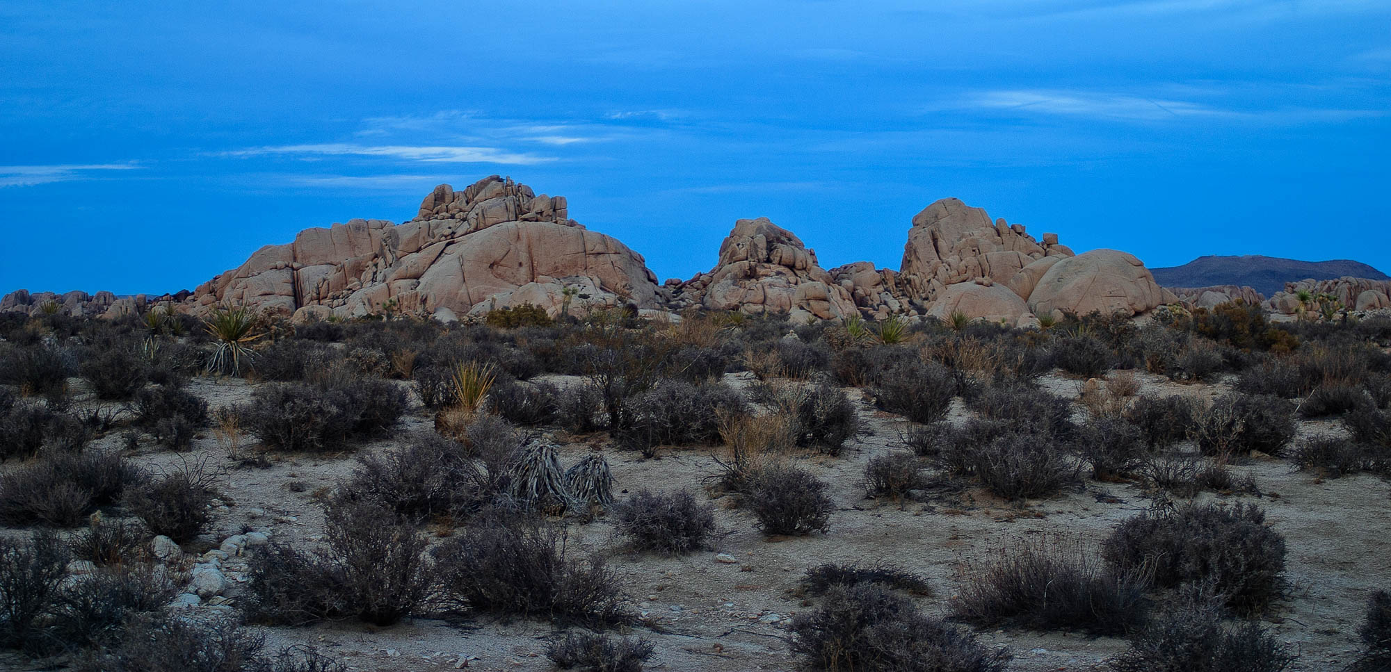 CRW 0486 SharpScreen