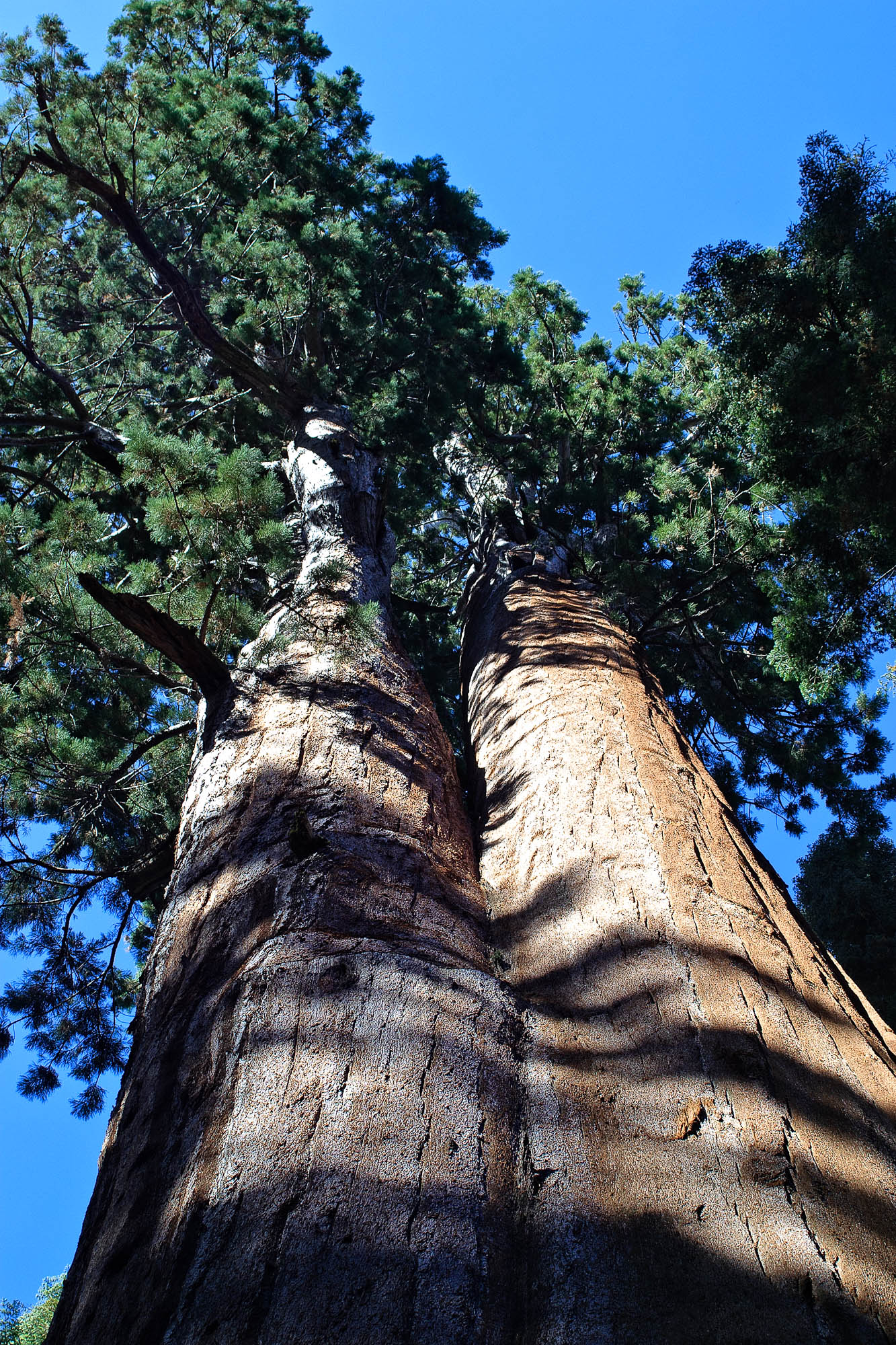 USA - Kalifornien / California