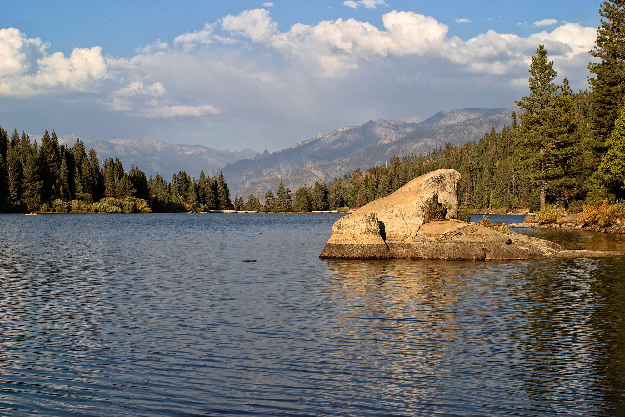 CRW 0647 SharpScreen