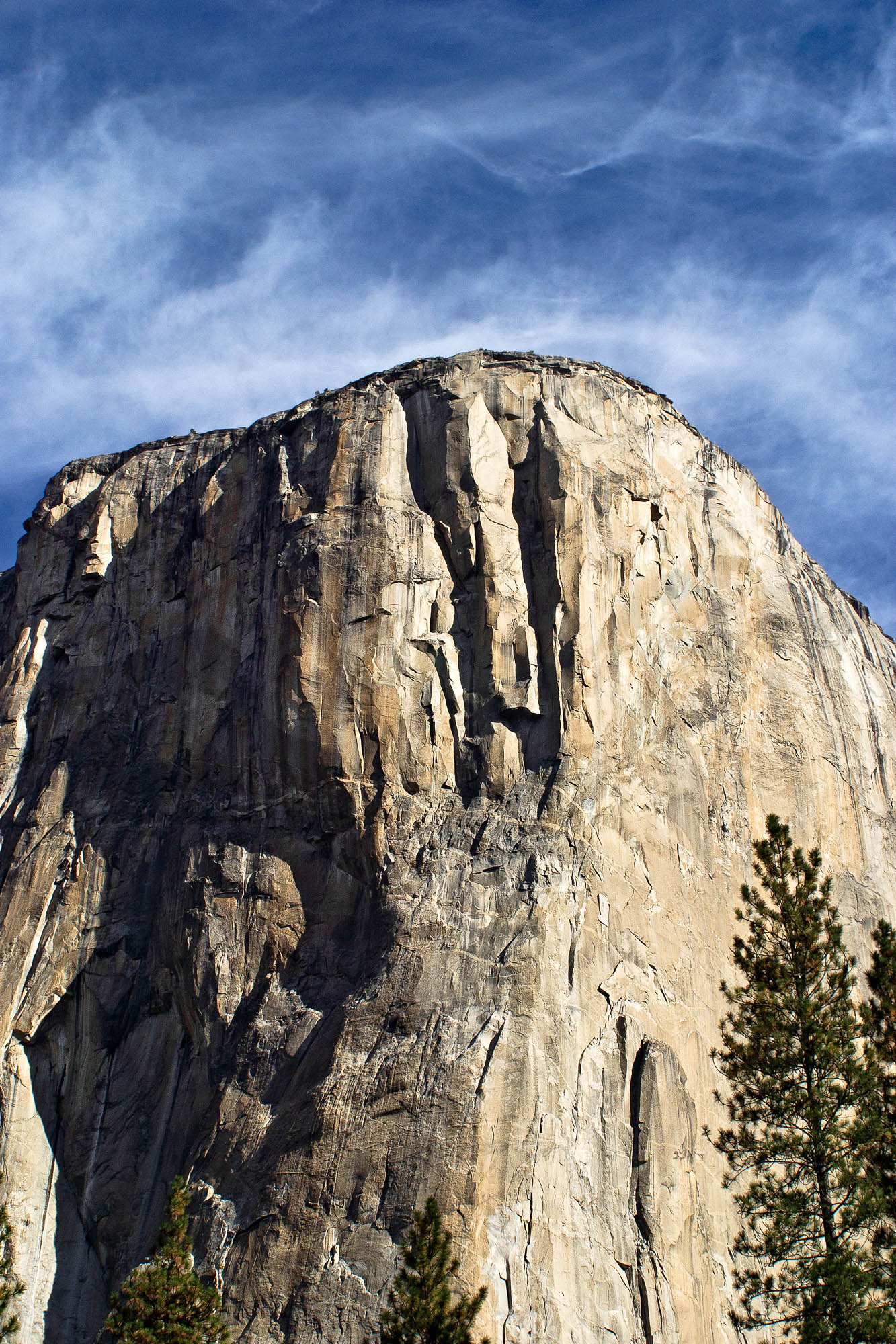 CRW 0826 SharpScreen