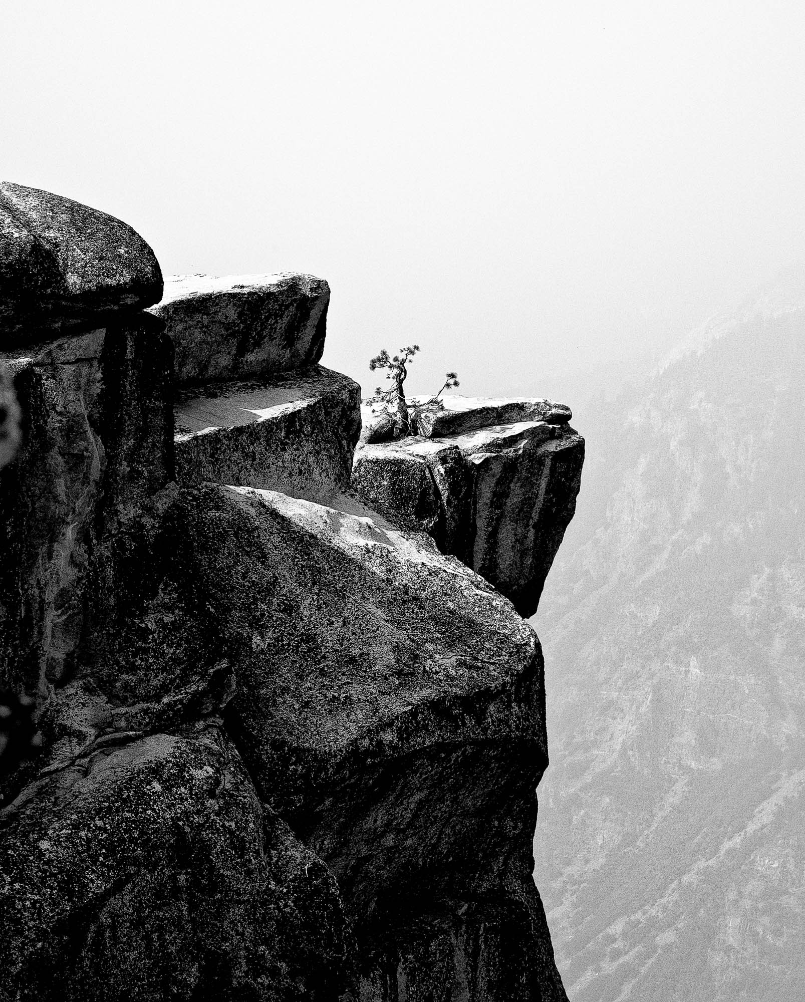 CRW 0925 SharpScreen