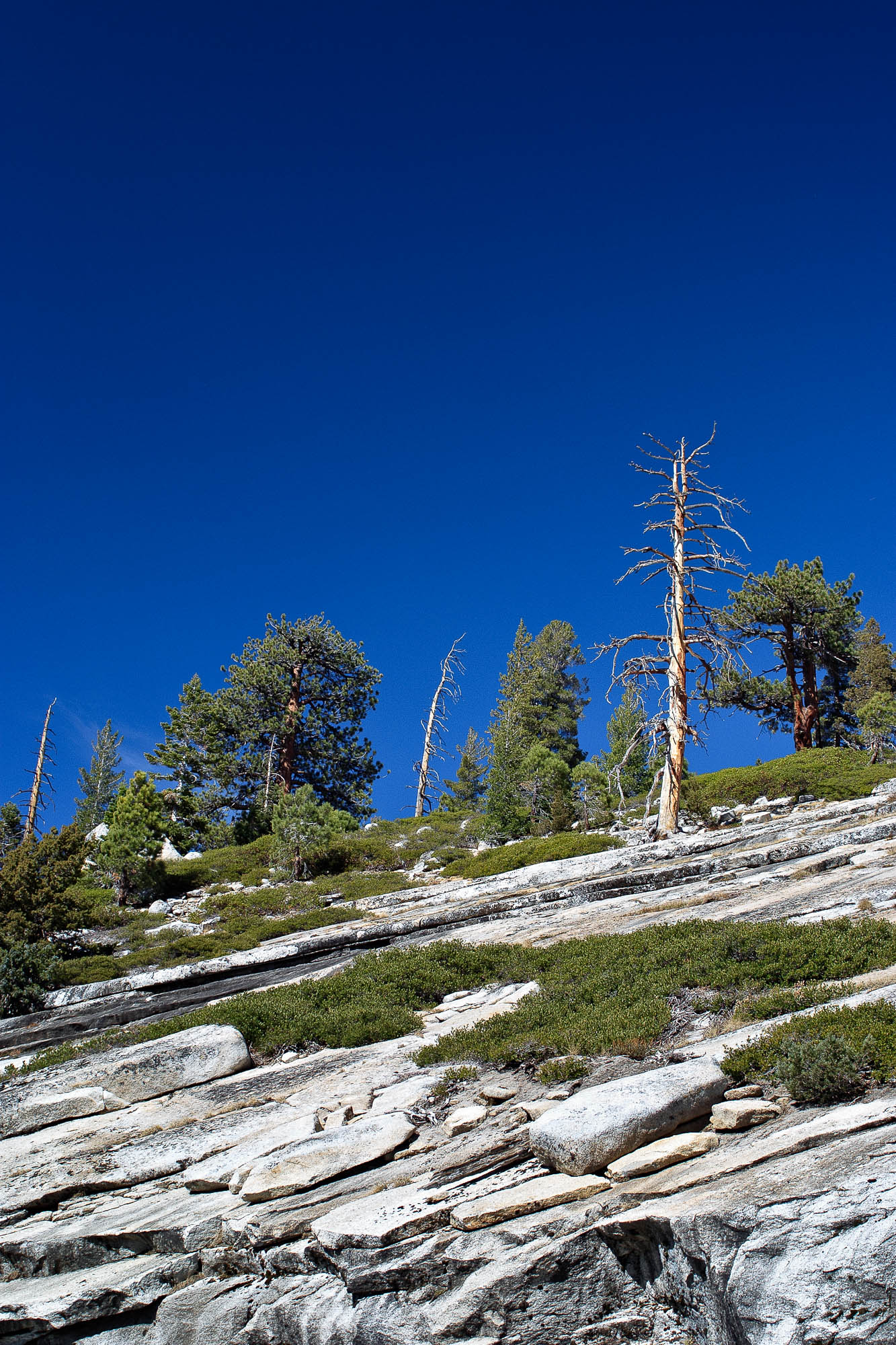 USA - Kalifornien / California