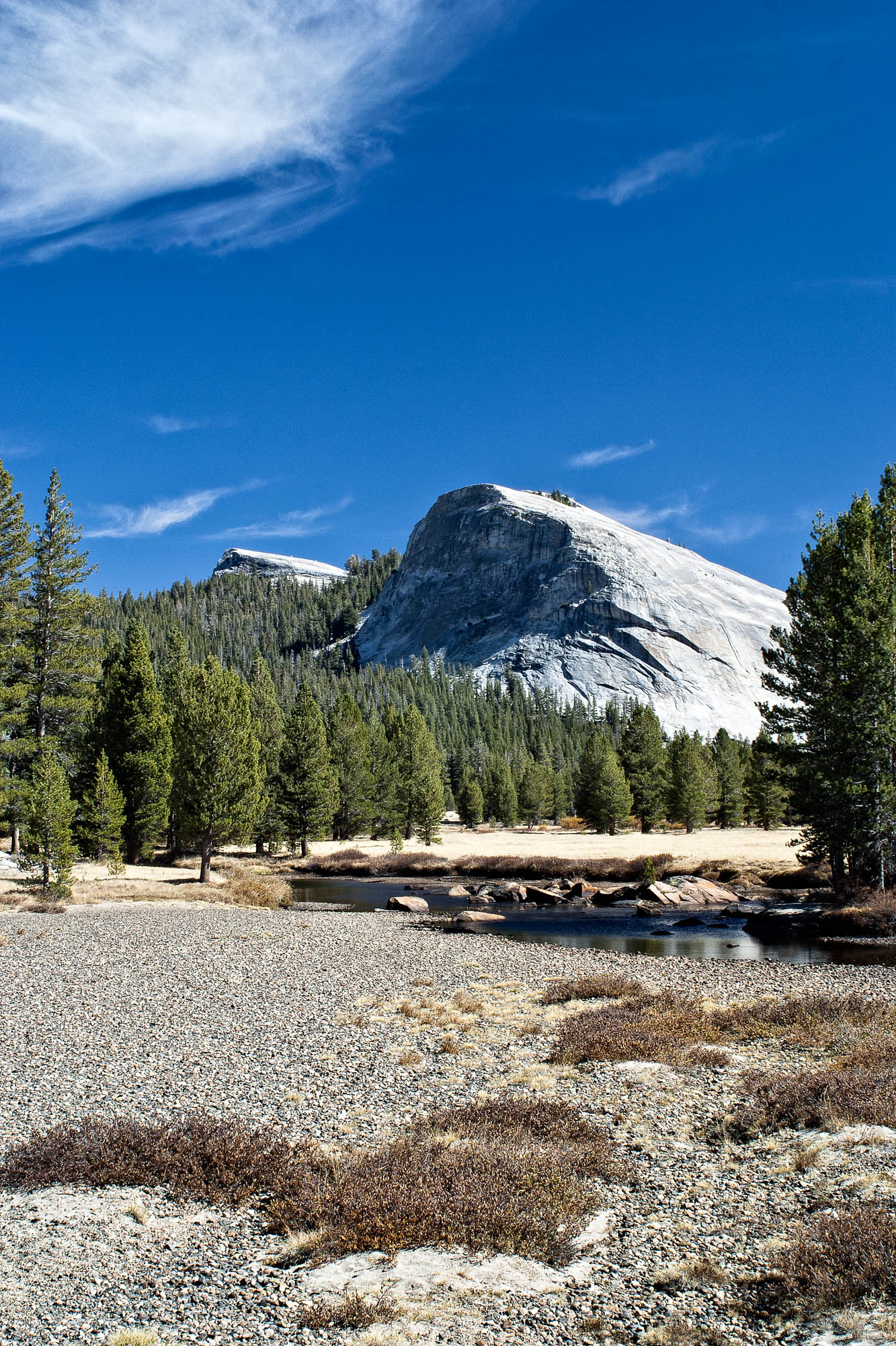 CRW 1009 SharpScreen