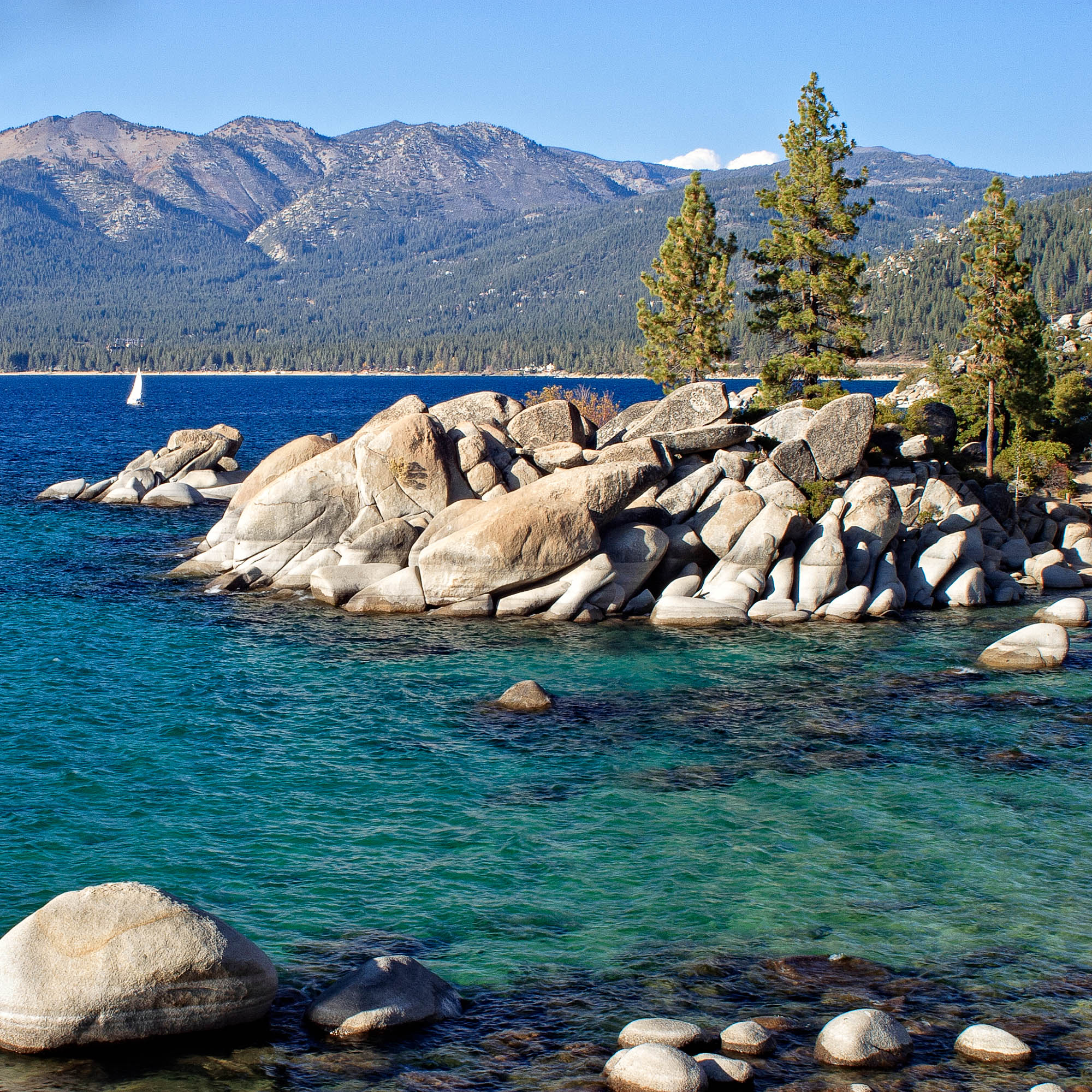 CRW 1126 SharpScreen