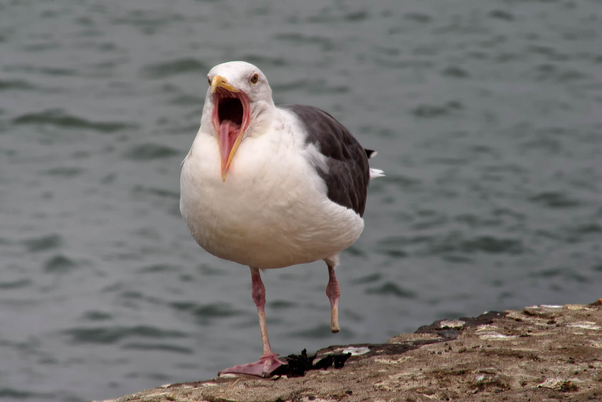 USA - Kalifornien / California