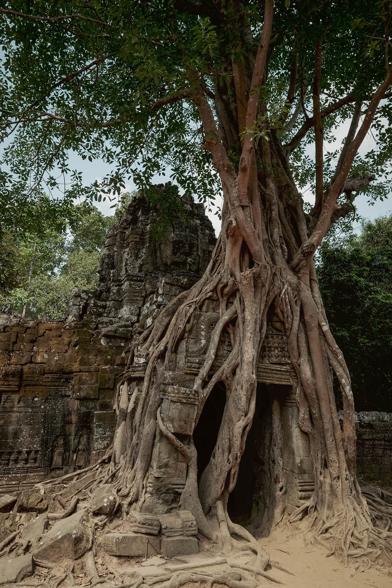 Kambodscha / Cambodia