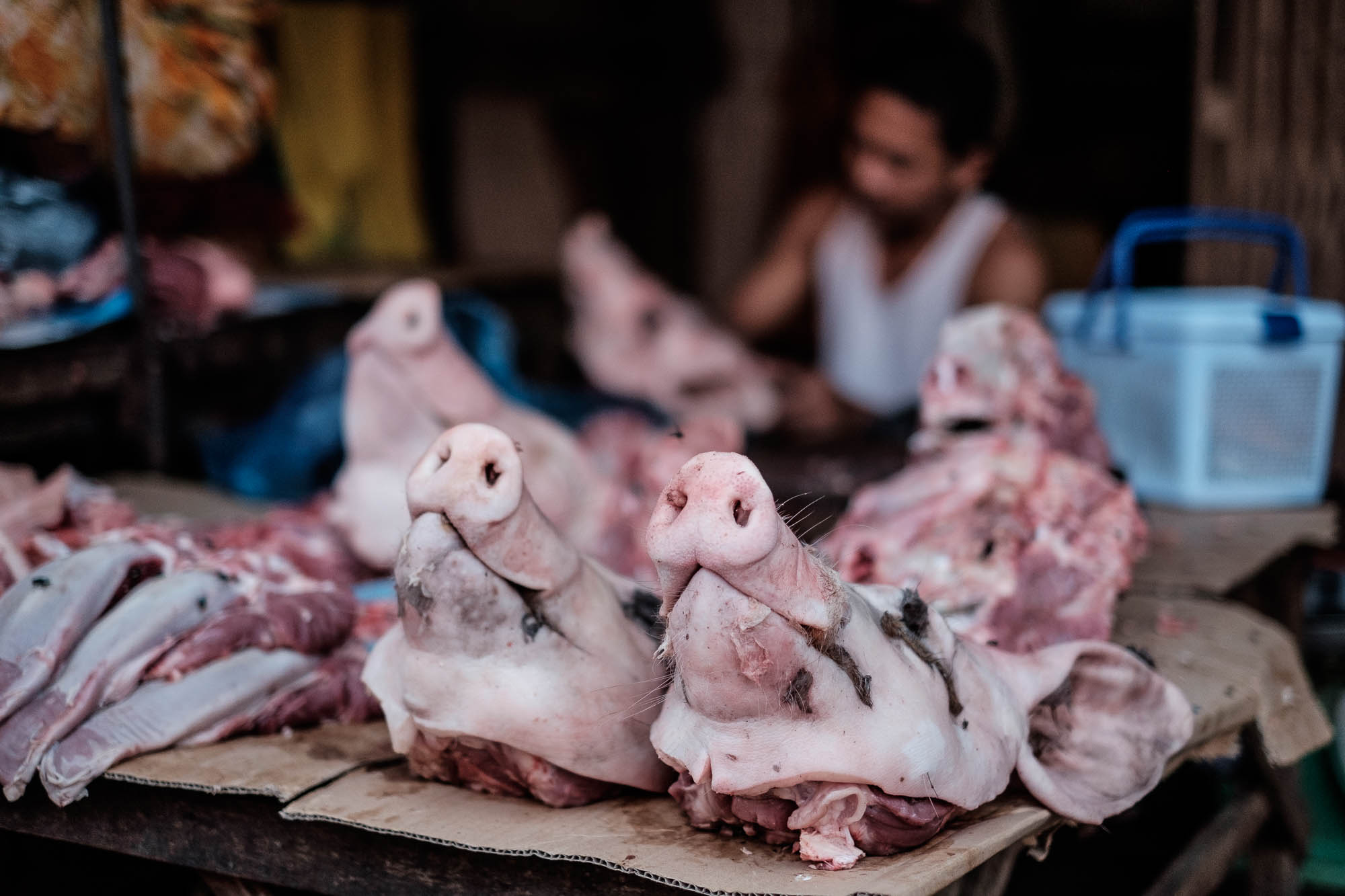 Kambodscha / Cambodia