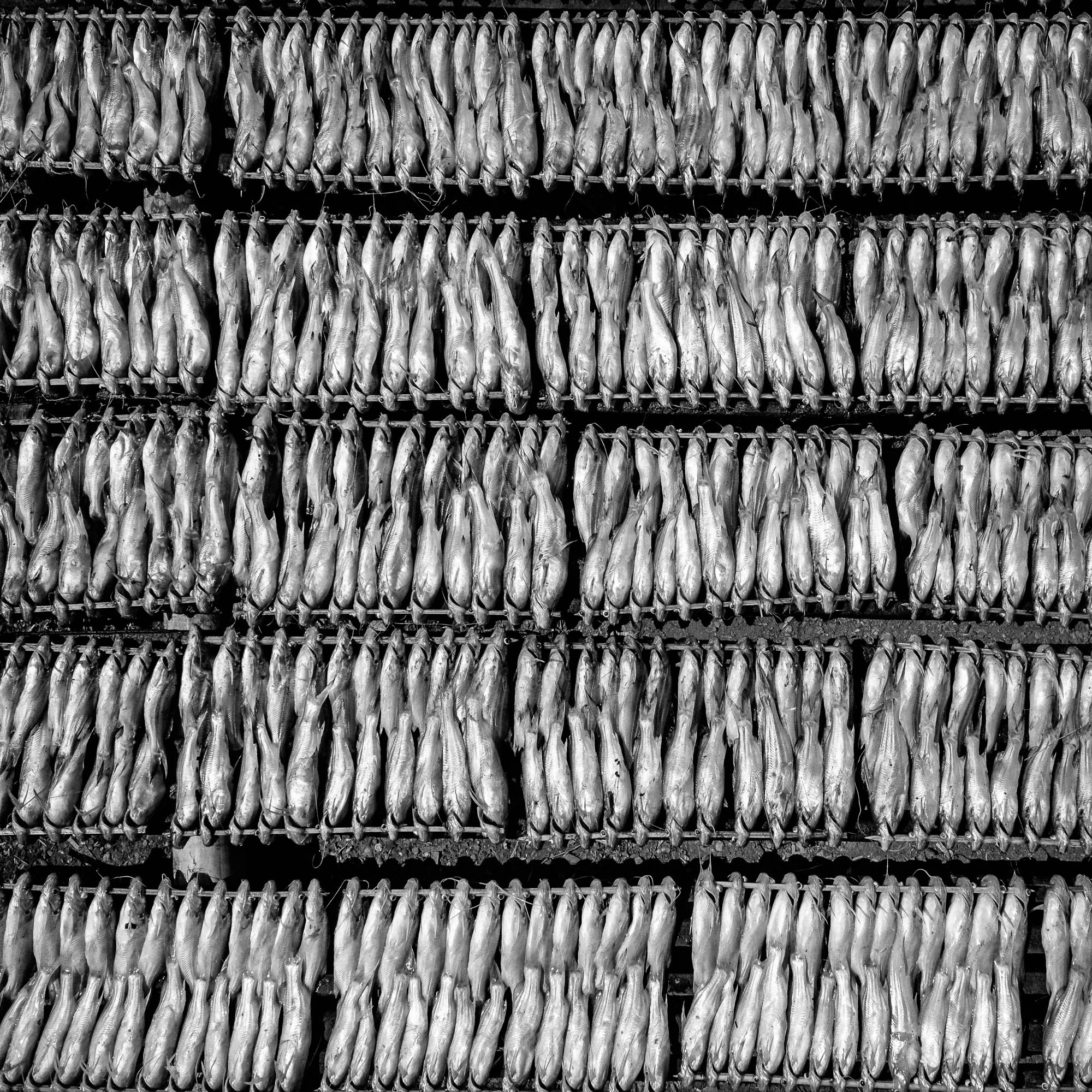 Kambodscha / Cambodia